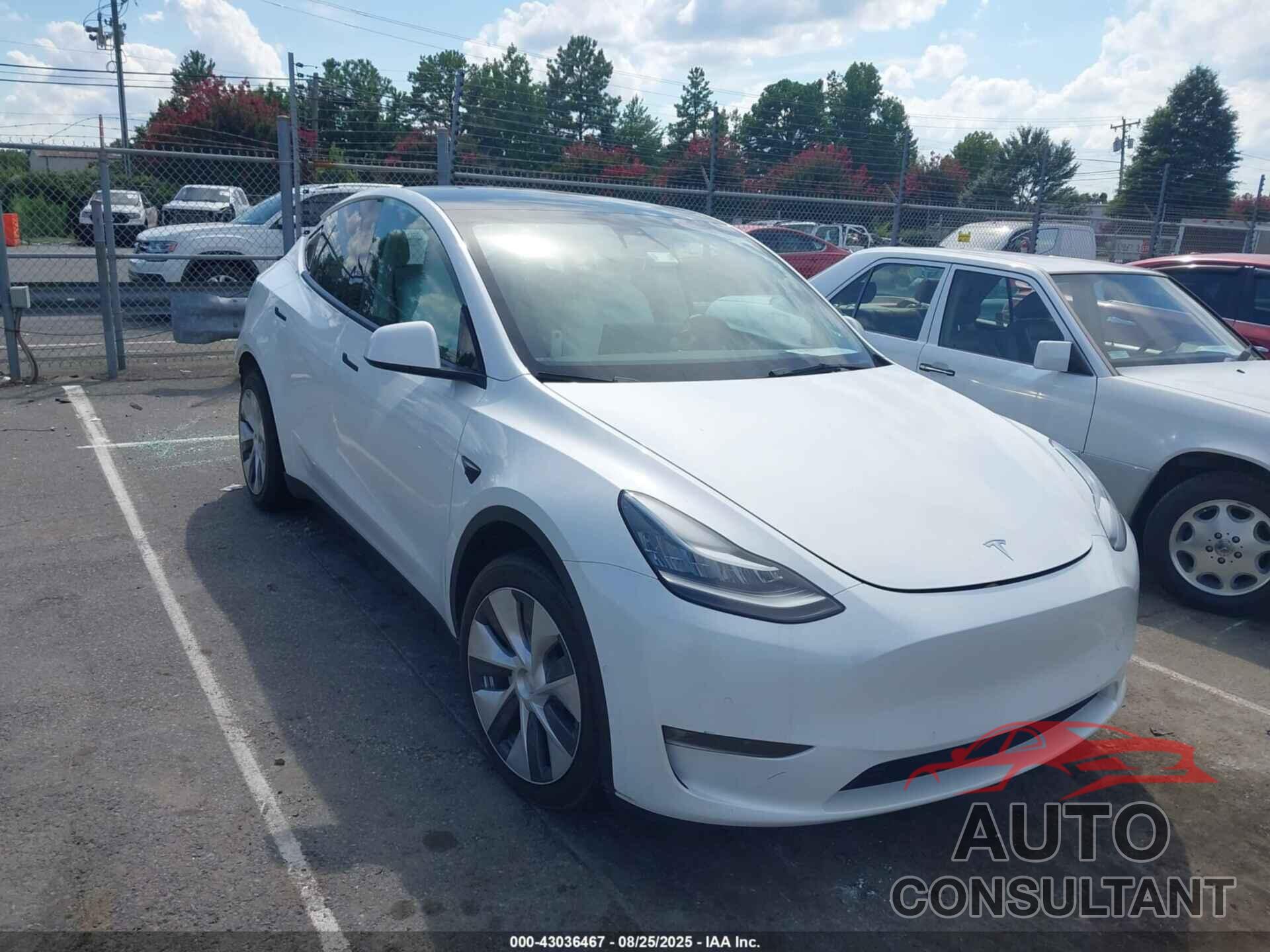 TESLA MODEL Y 2021 - 5YJYGAEE5MF205149