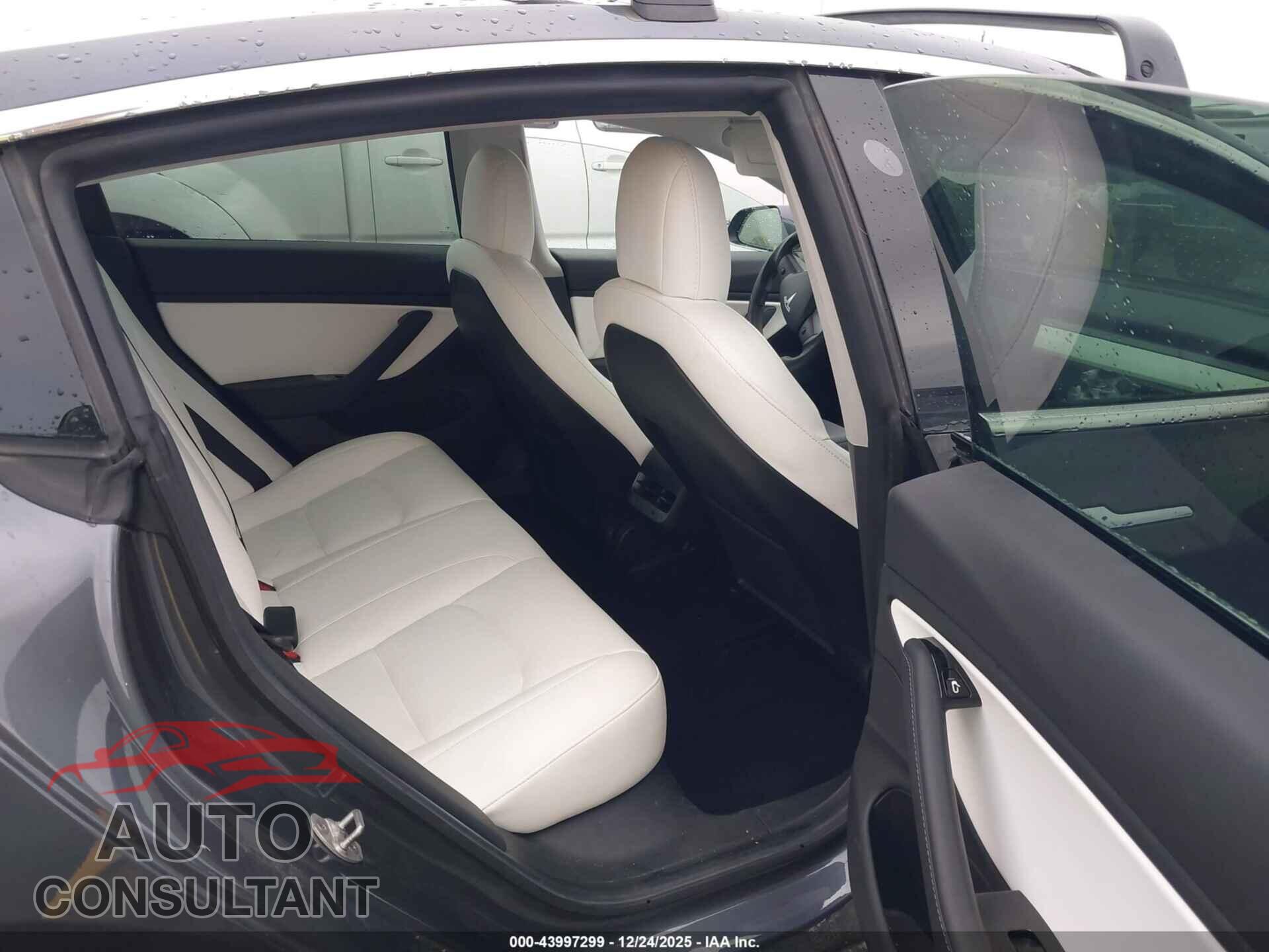 TESLA MODEL 3 2019 - 5YJ3E1EB4KF213701