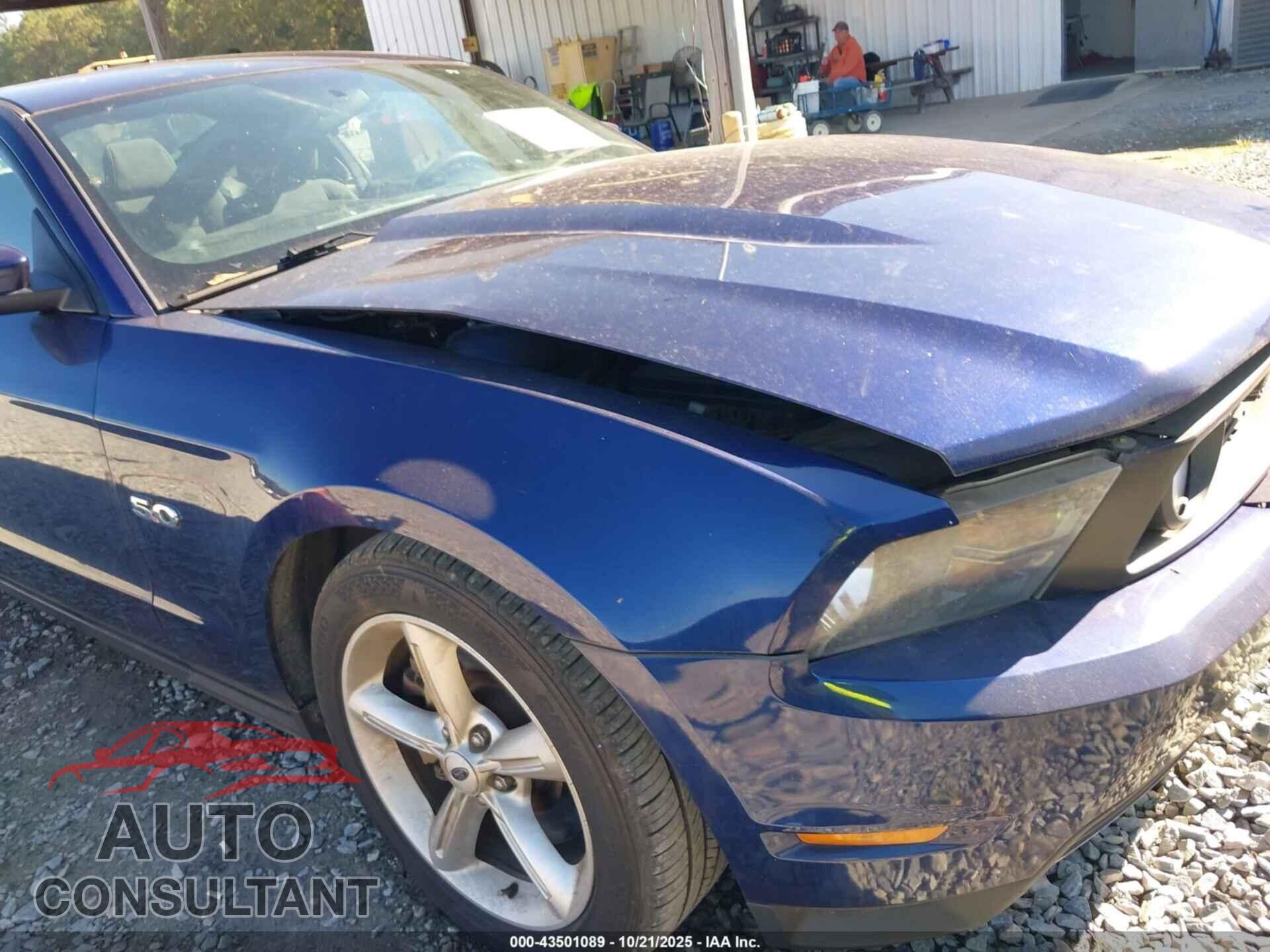 FORD MUSTANG 2012 - 1ZVBP8CF0C5259885