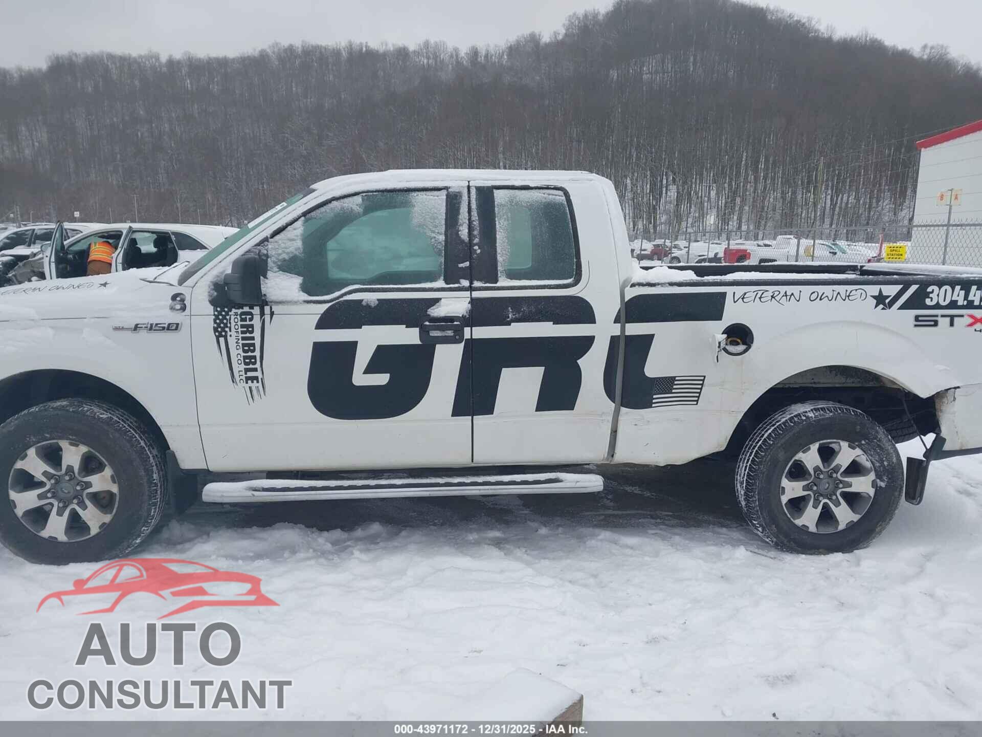 FORD F-150 2012 - 1FTFX1EF7CFA19087