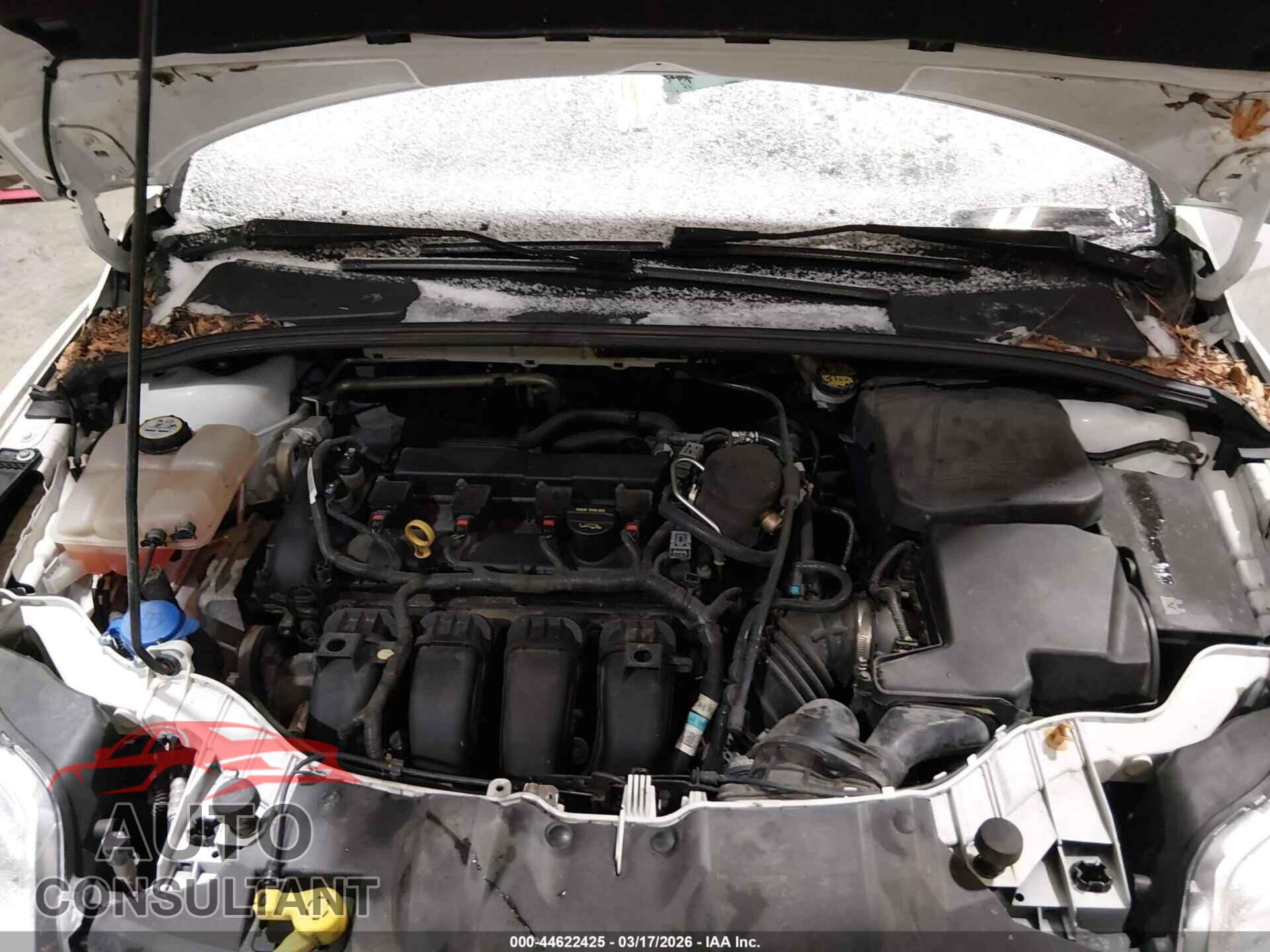FORD FOCUS 2013 - 1FADP3K28DL156407