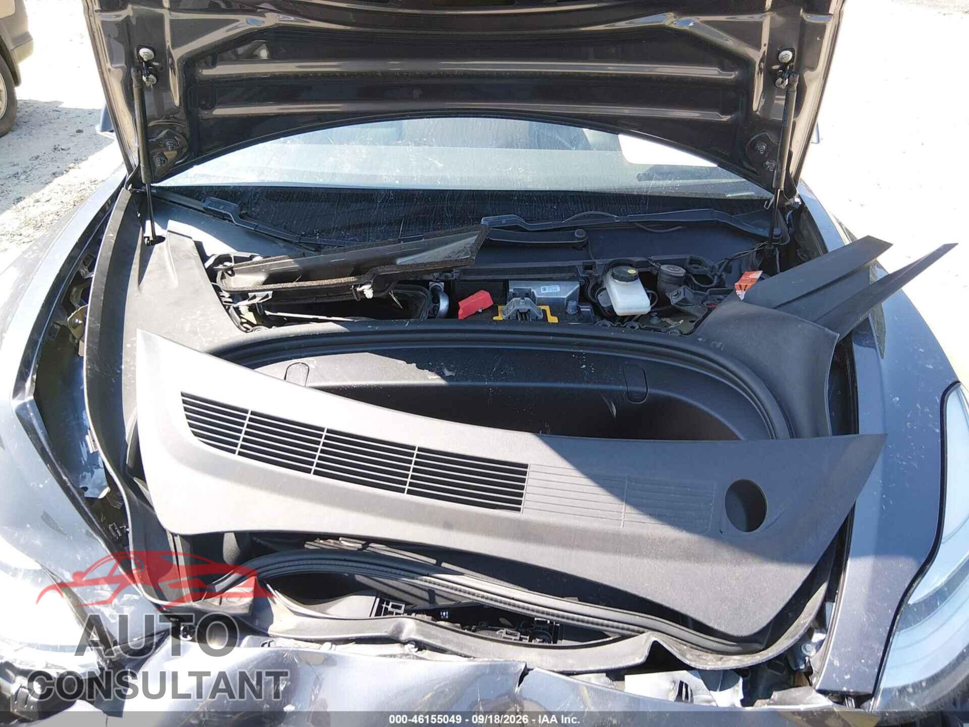 TESLA MODEL 3 2019 - 5YJ3E1EA8KF308091