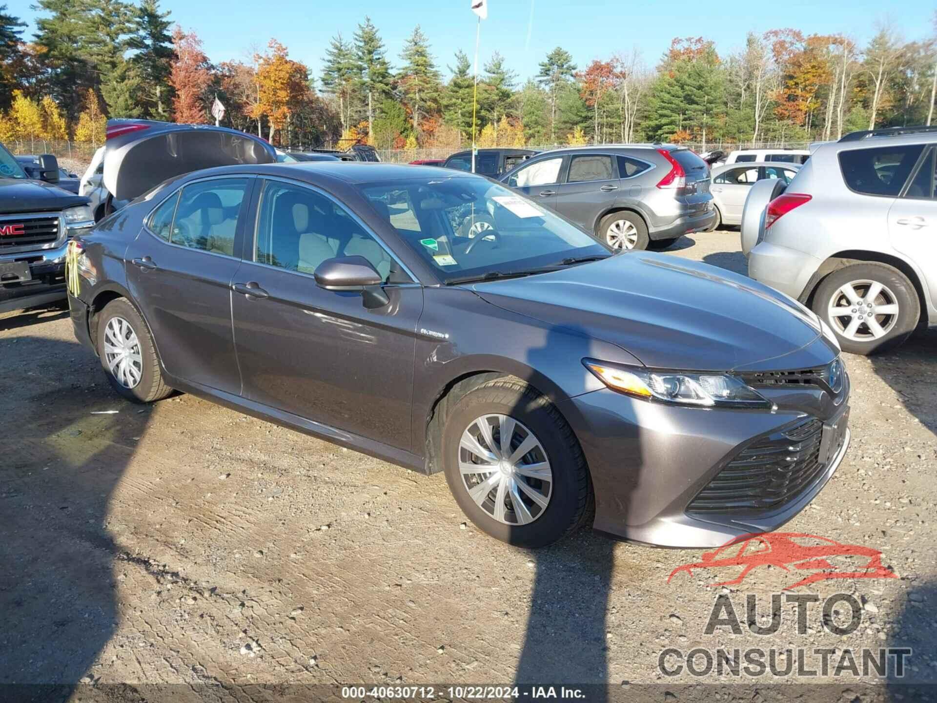 TOYOTA CAMRY 2020 - 4T1C31AK1LU534675