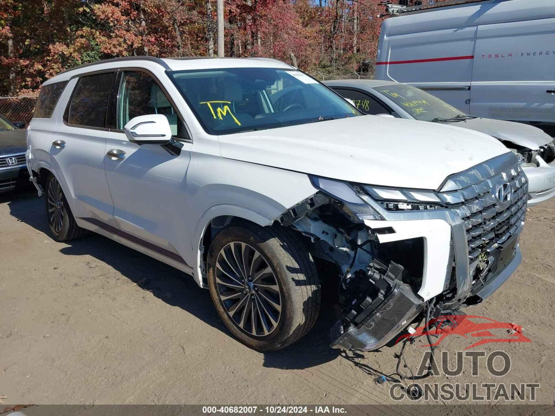 HYUNDAI PALISADE 2024 - KM8R7DGE8RU661563