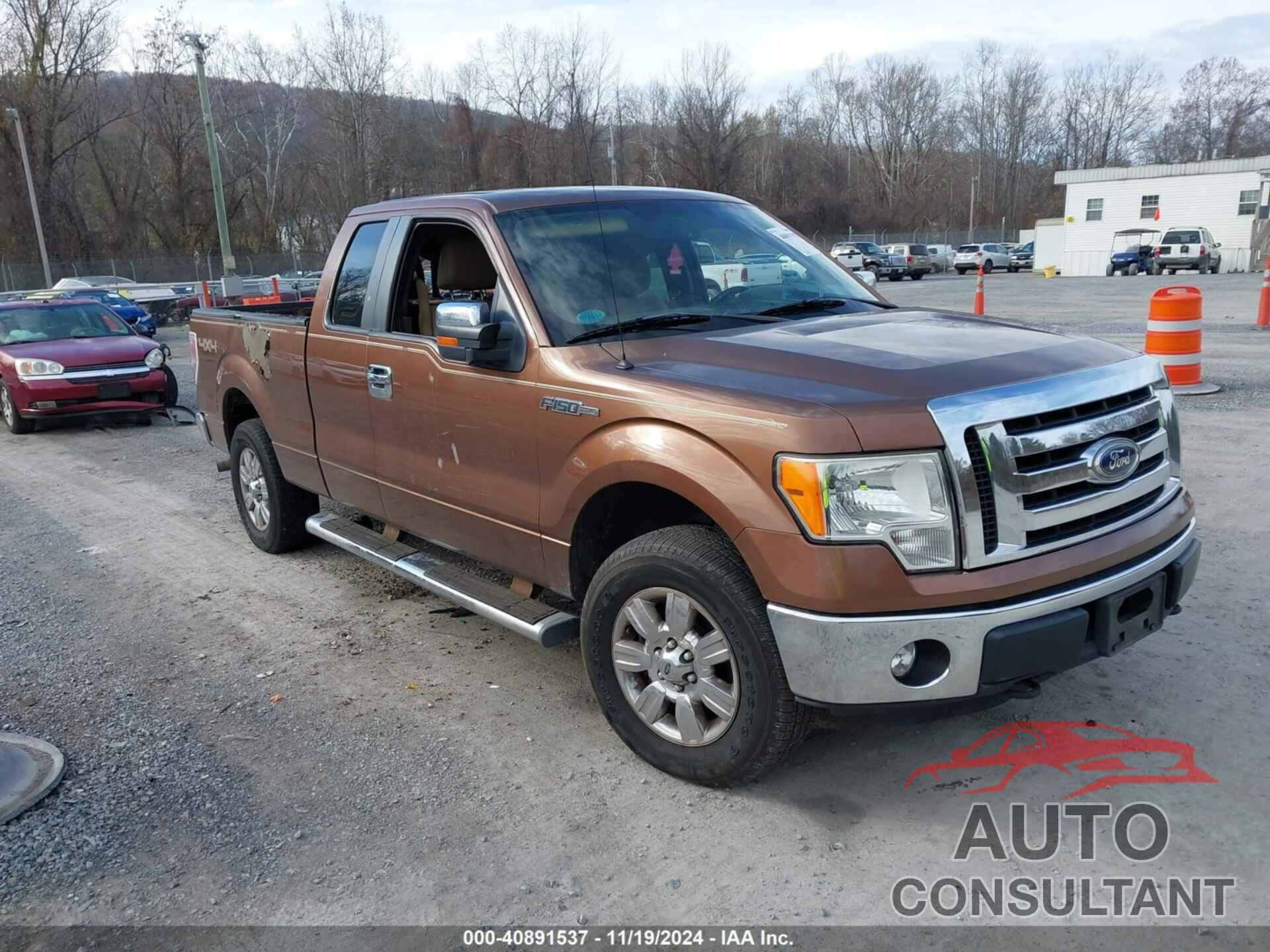 FORD F-150 2011 - 1FTFX1EF4BFA57231