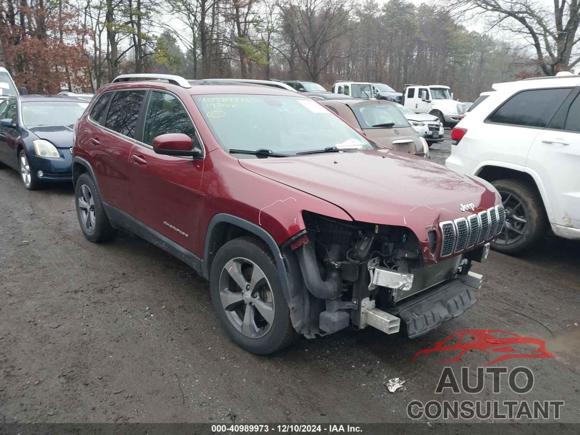 JEEP CHEROKEE 2019 - 1C4PJMDX7KD253015