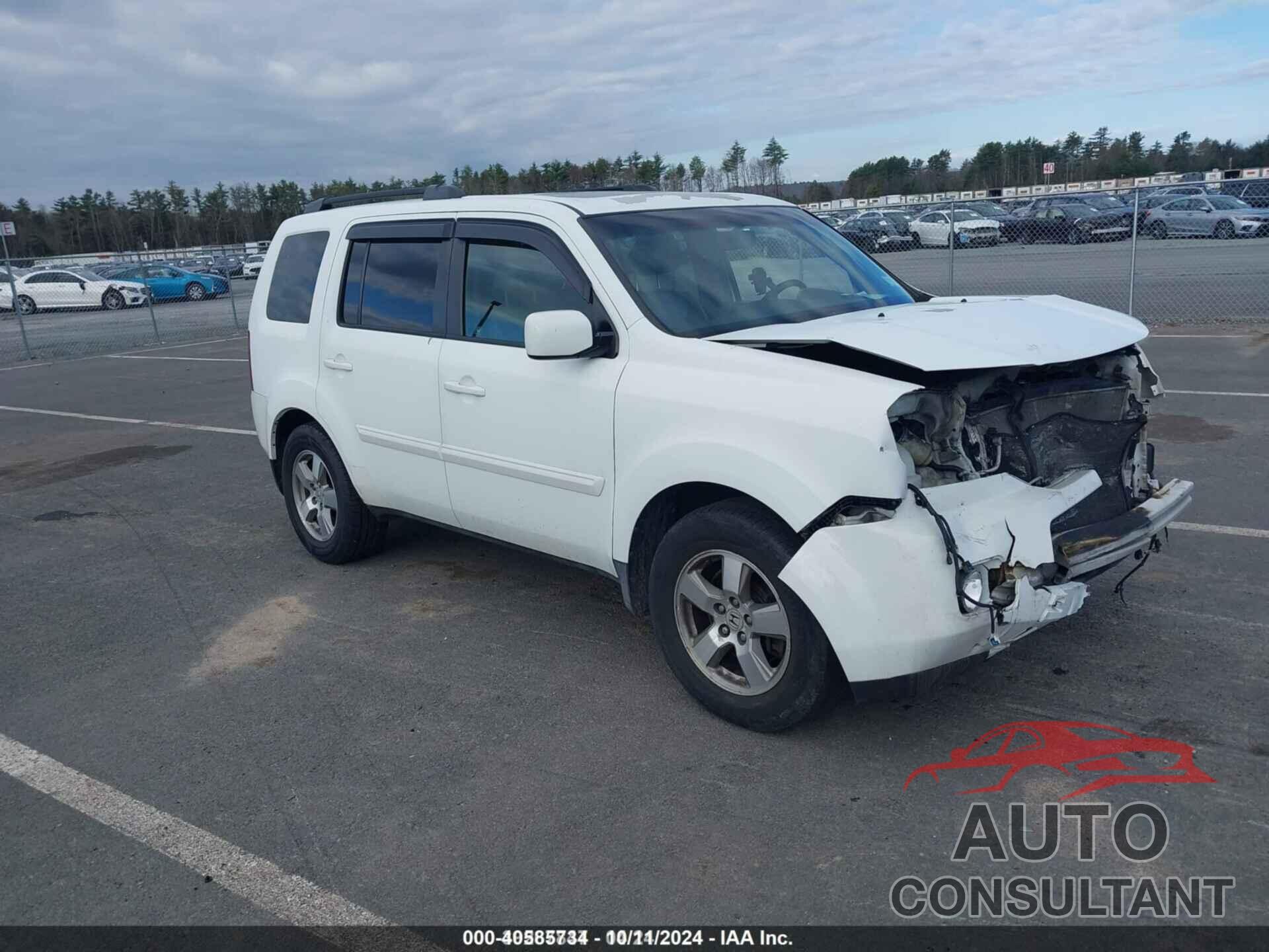 HONDA PILOT 2010 - 5FNYF4H56AB001925