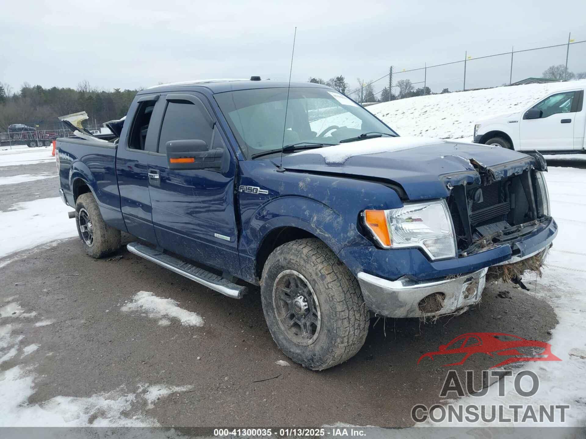 FORD F-150 2011 - 1FTFX1ET6BFC39423