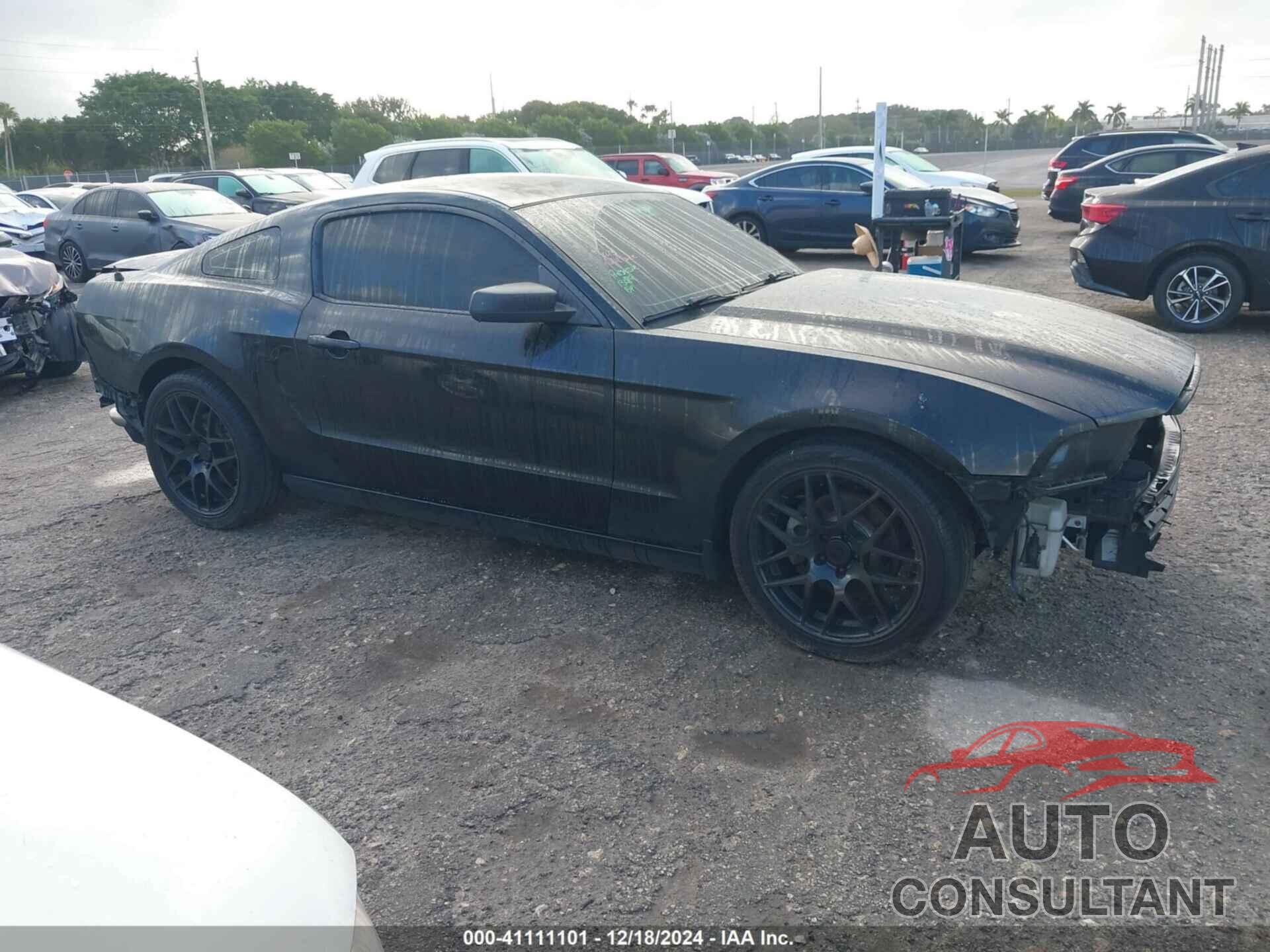 FORD MUSTANG 2014 - 1ZVBP8AM6E5258292