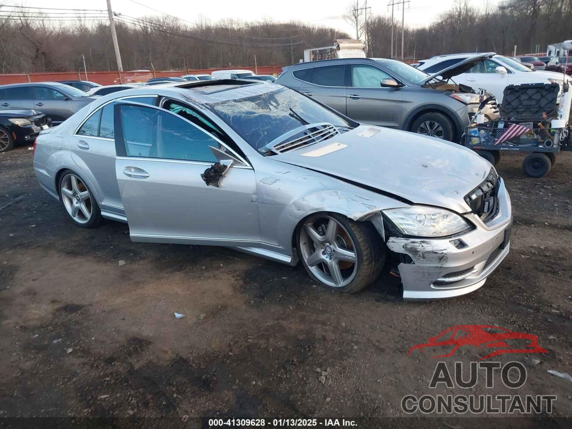 MERCEDES-BENZ S-CLASS 2010 - WDDNG8GB9AA325657