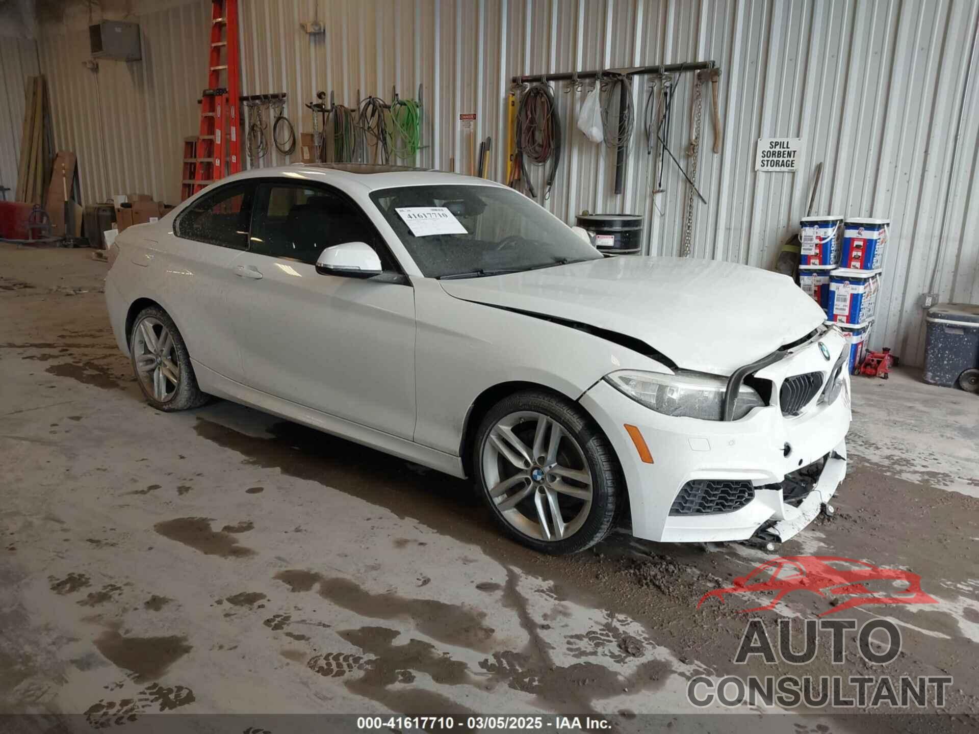BMW 228I 2016 - WBA1G9C53GVX97088