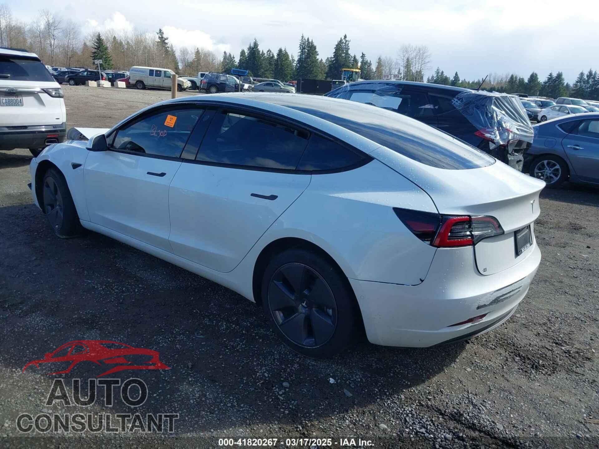 TESLA MODEL 3 2021 - 5YJ3E1EA0MF062074
