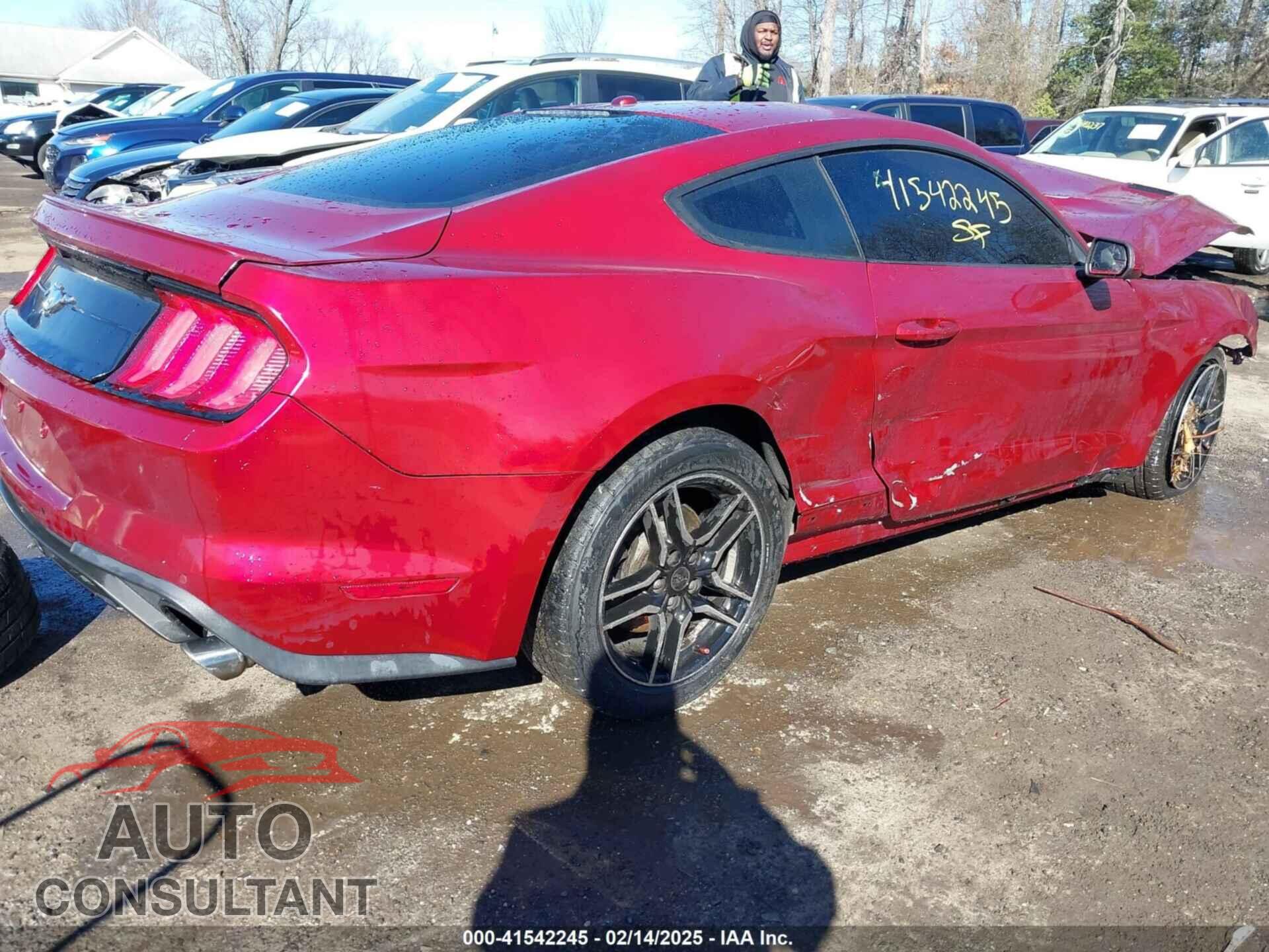 FORD MUSTANG 2019 - 1FA6P8TH3K5117315