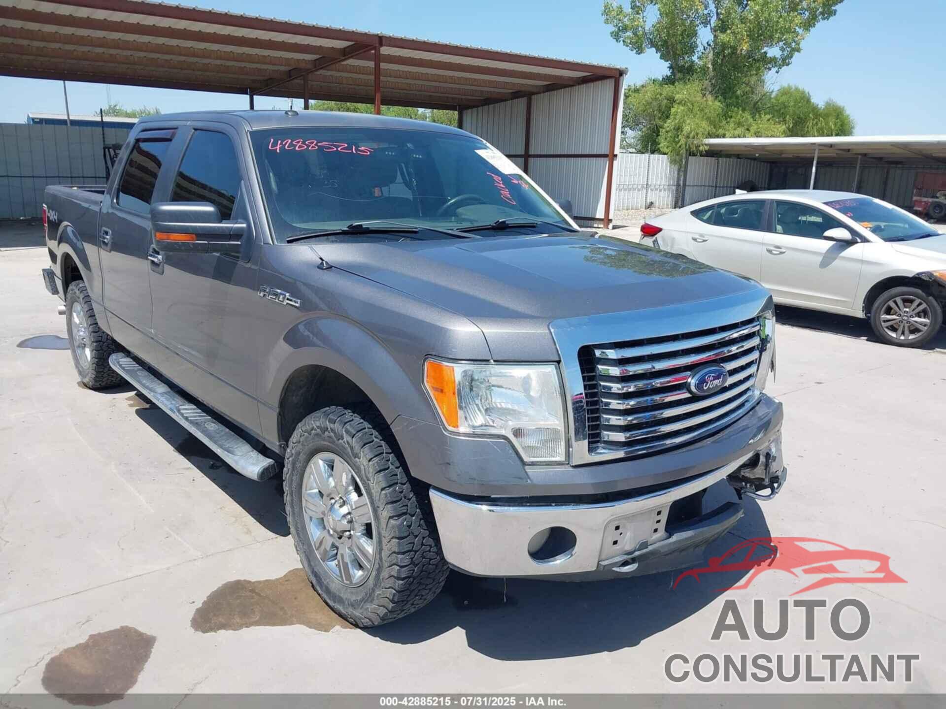 FORD F-150 2010 - 1FTEW1E82AFD86993