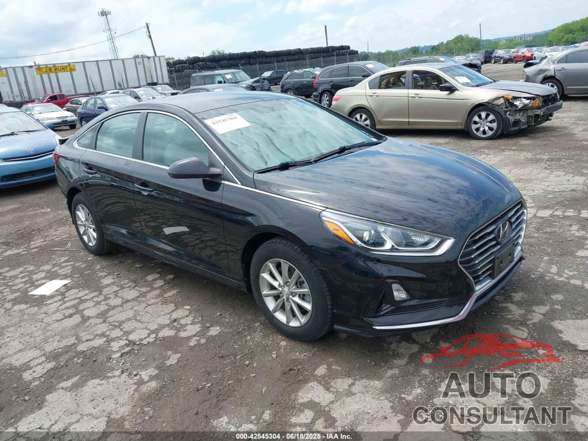 HYUNDAI SONATA 2019 - 5NPE24AA2KH773931