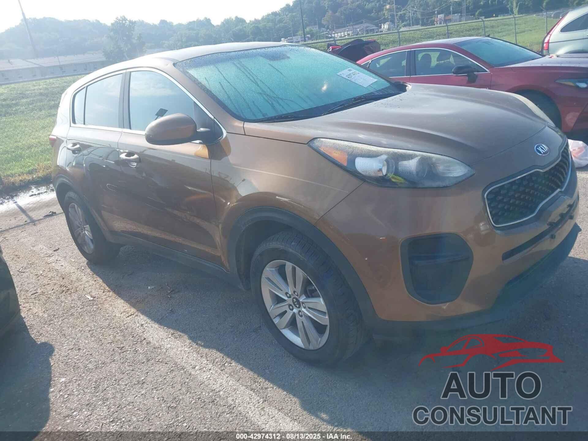 KIA SPORTAGE 2017 - KNDPM3AC7H7147349