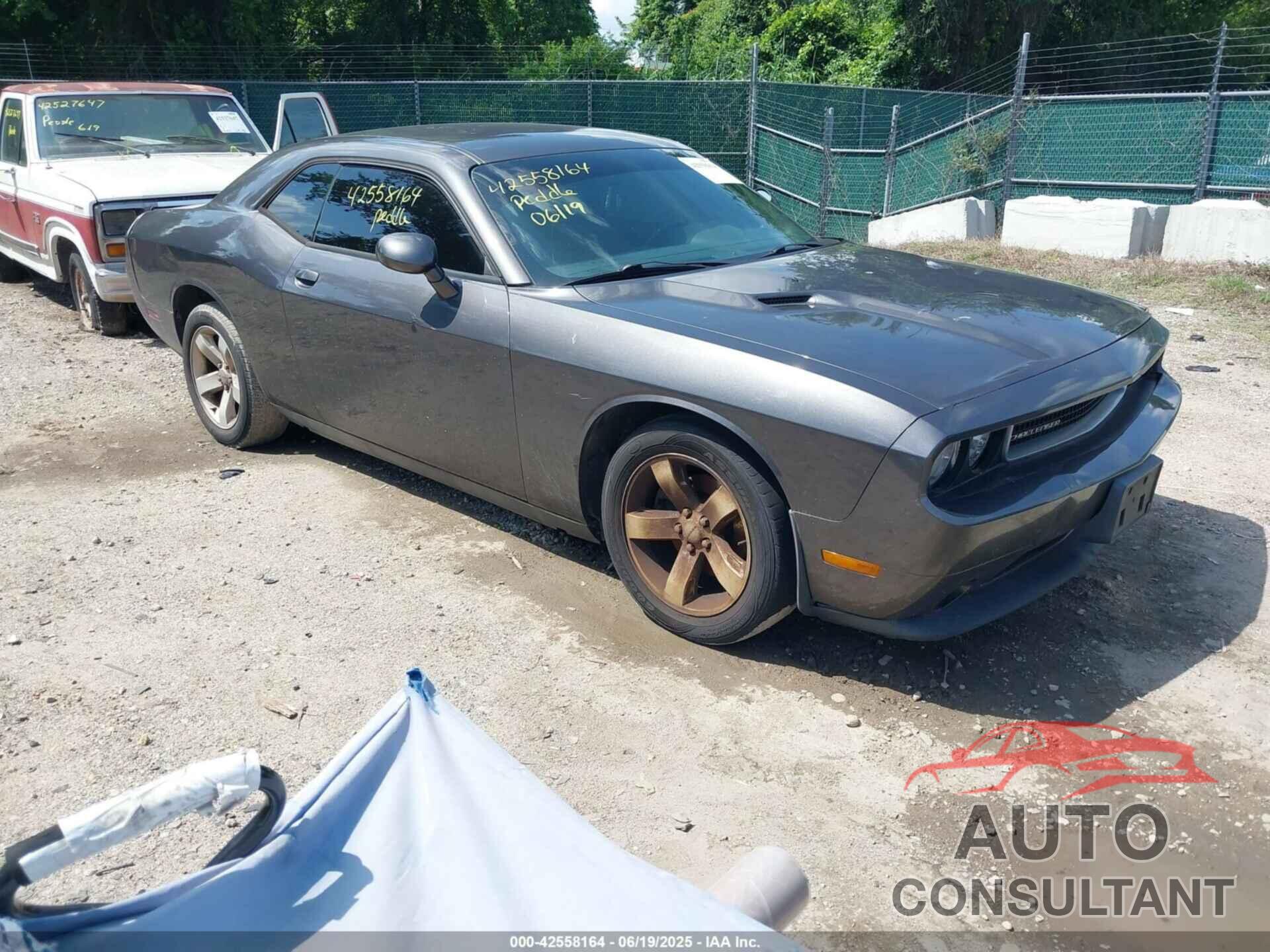 DODGE CHALLENGER 2013 - 2C3CDYAG2DH581938