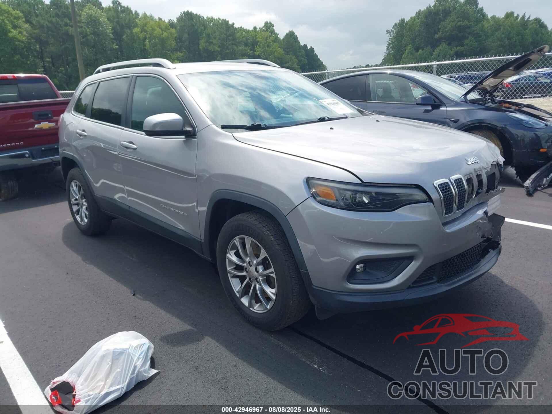 JEEP CHEROKEE 2019 - 1C4PJMLN2KD229494