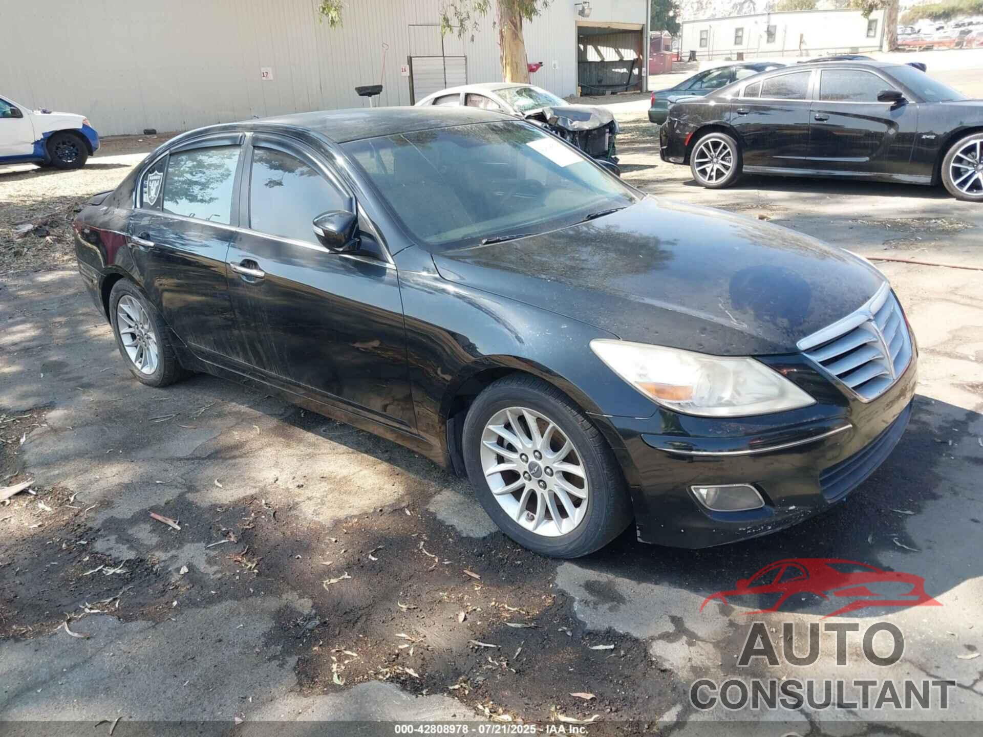 HYUNDAI GENESIS 2011 - KMHGC4DE9BU135861