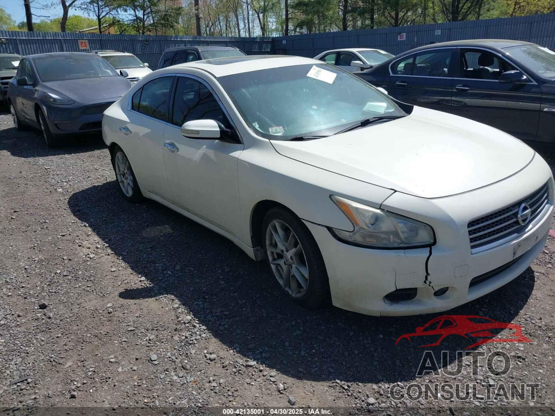NISSAN MAXIMA 2009 - 1N4AA51E79C861010