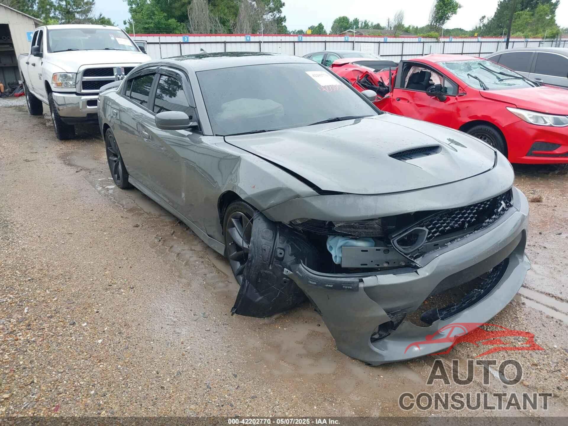 DODGE CHARGER 2019 - 2C3CDXGJ4KH647044