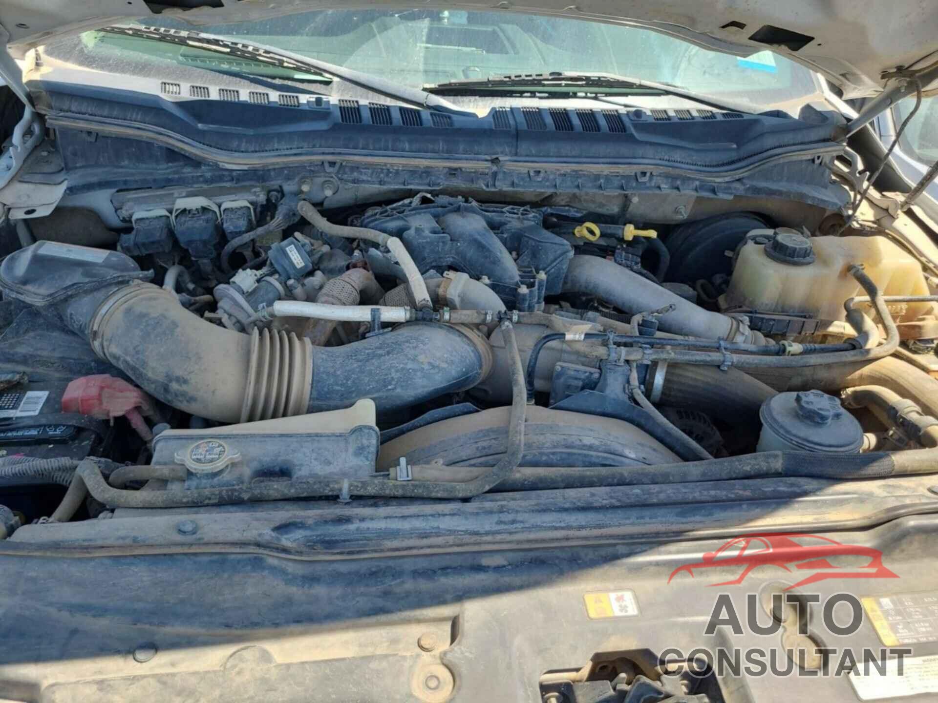 FORD F350 2019 - 1FT7W3BT1KED68229