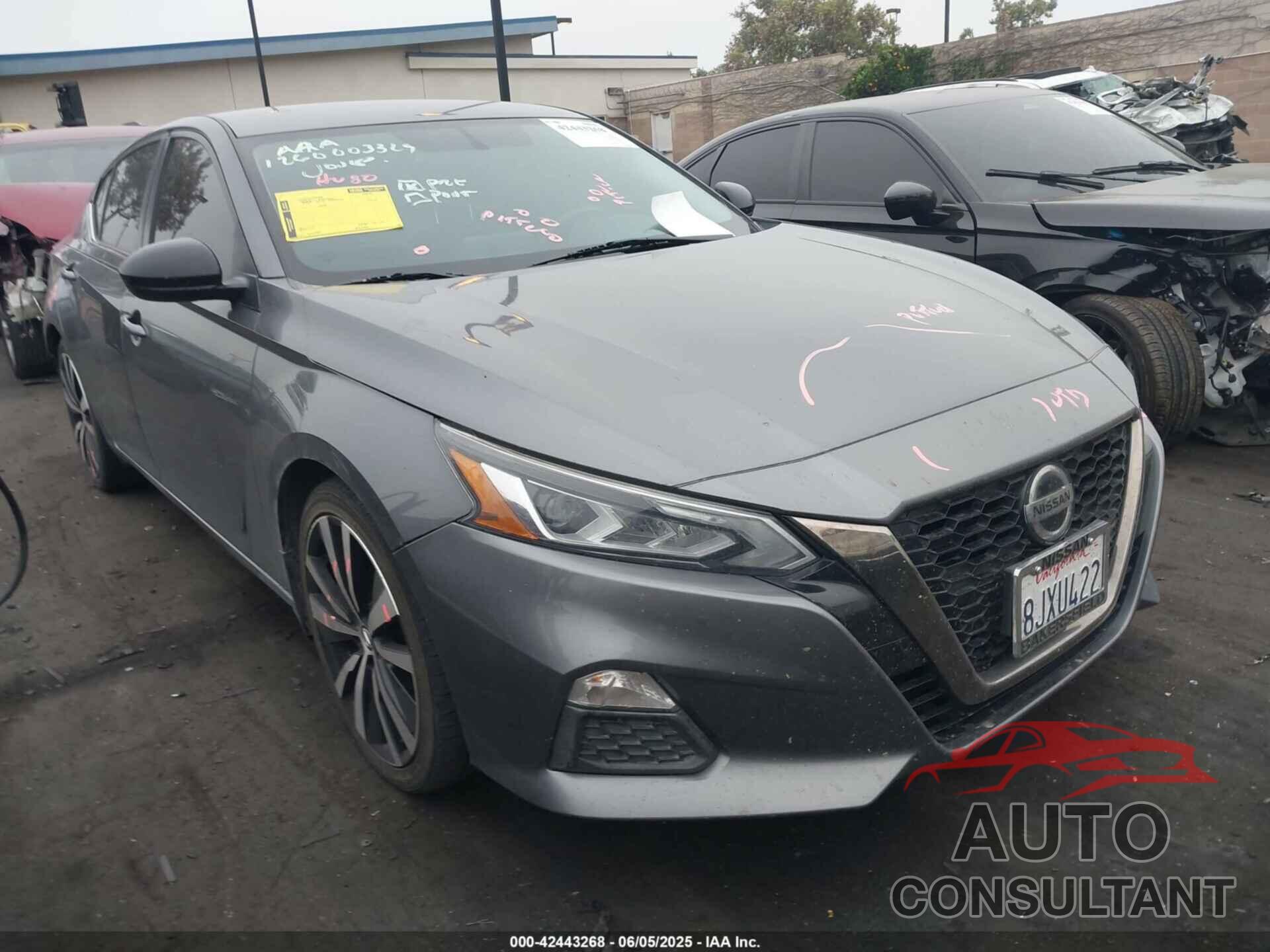 NISSAN ALTIMA 2019 - 1N4BL4CV4KN325955
