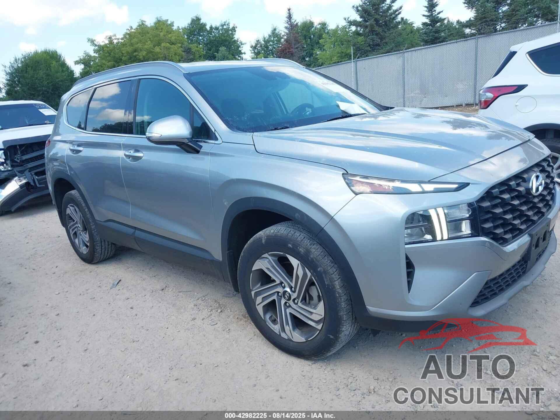 HYUNDAI SANTA FE 2023 - 5NMS2DAJ2PH653747