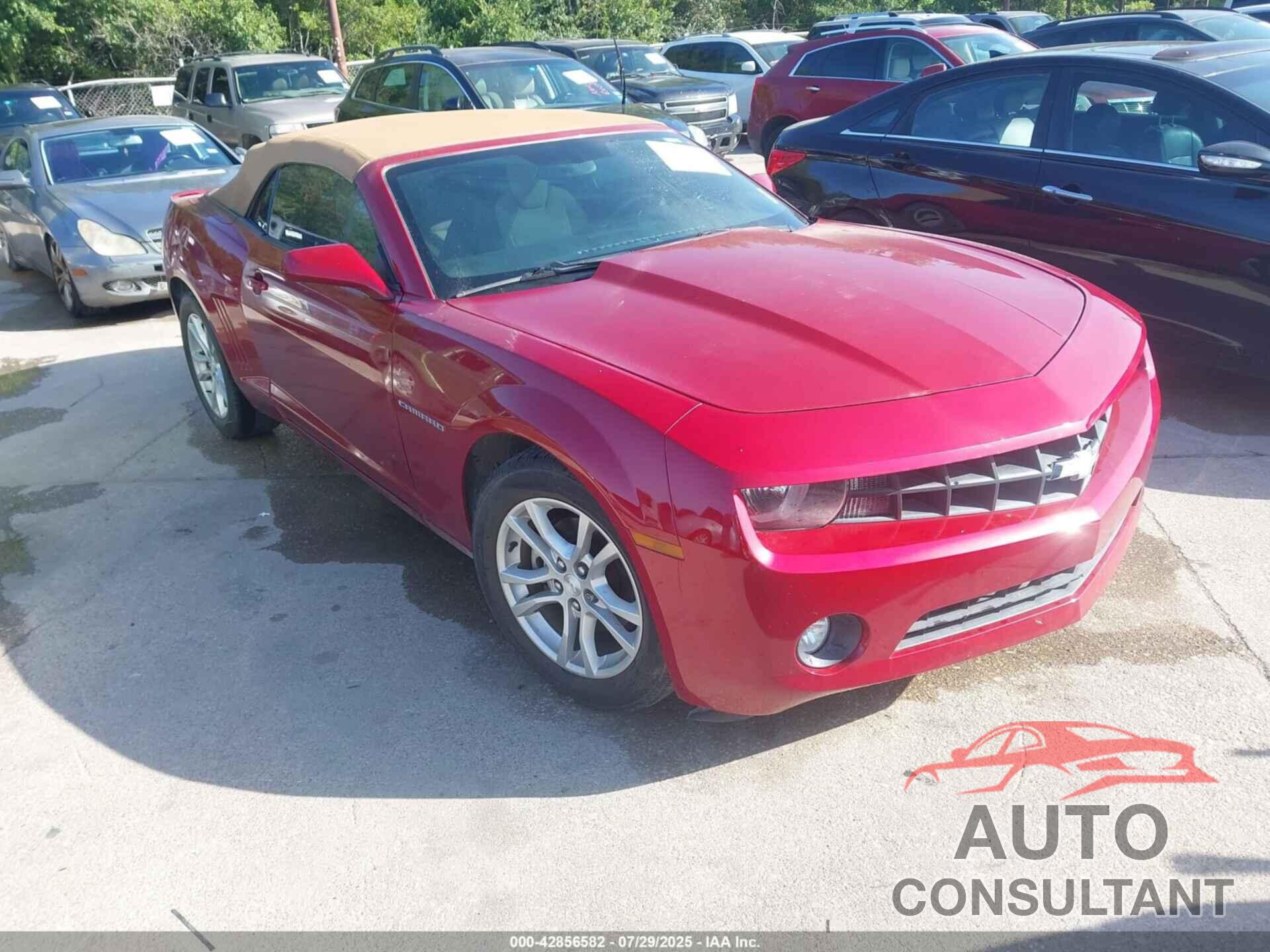 CHEVROLET CAMARO 2013 - 2G1FB3D31D9233903