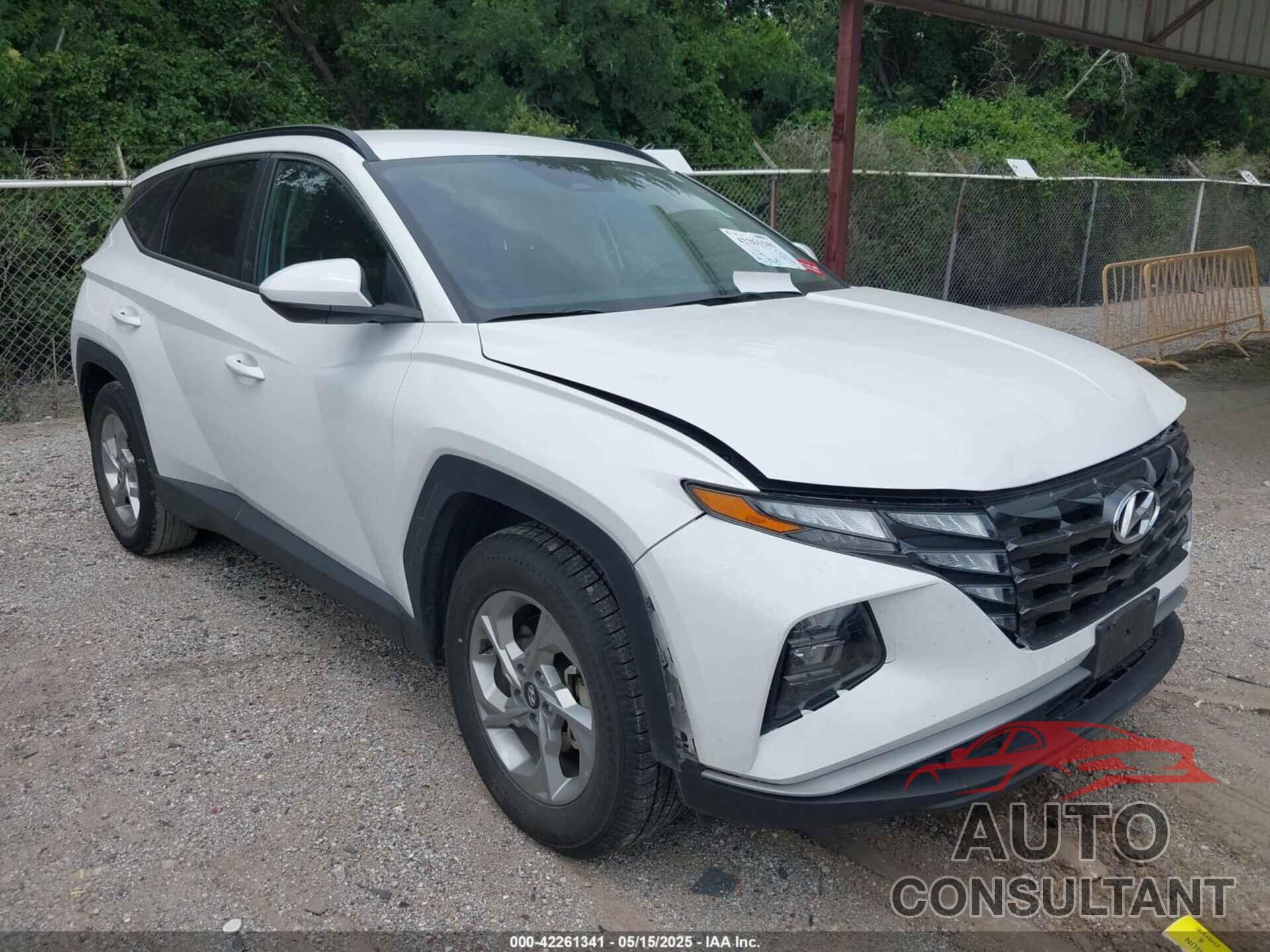 HYUNDAI TUCSON 2024 - 5NMJB3DE1RH428288