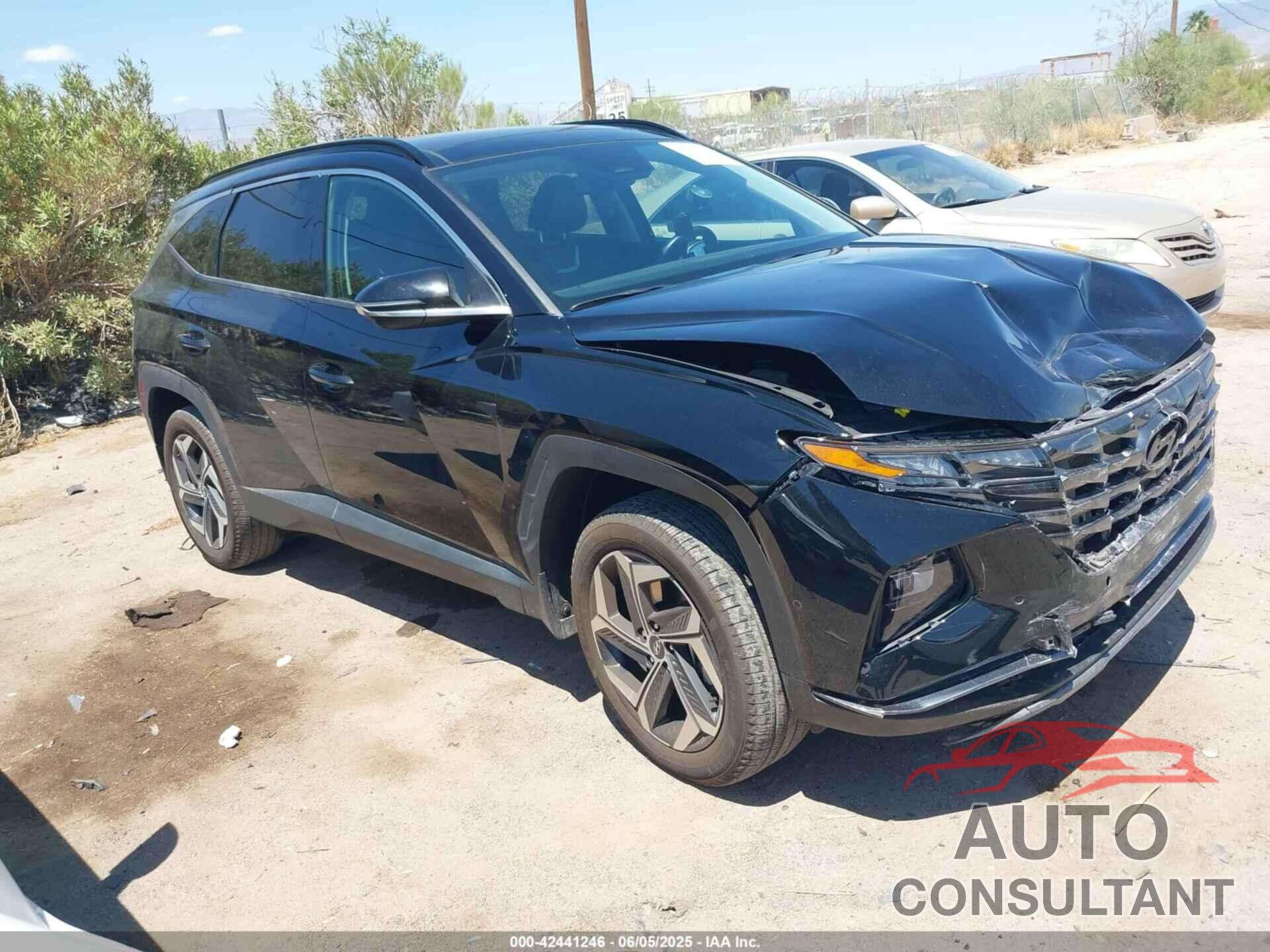 HYUNDAI TUCSON 2024 - 5NMJECDE1RH367371