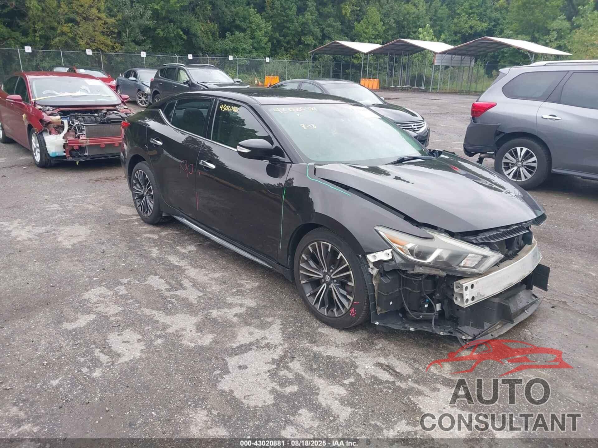 NISSAN MAXIMA 2017 - 1N4AA6AP7HC420869