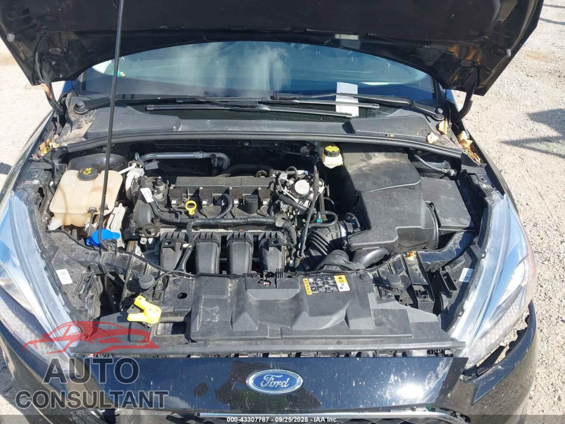 FORD FOCUS 2017 - 1FADP3F23HL315639