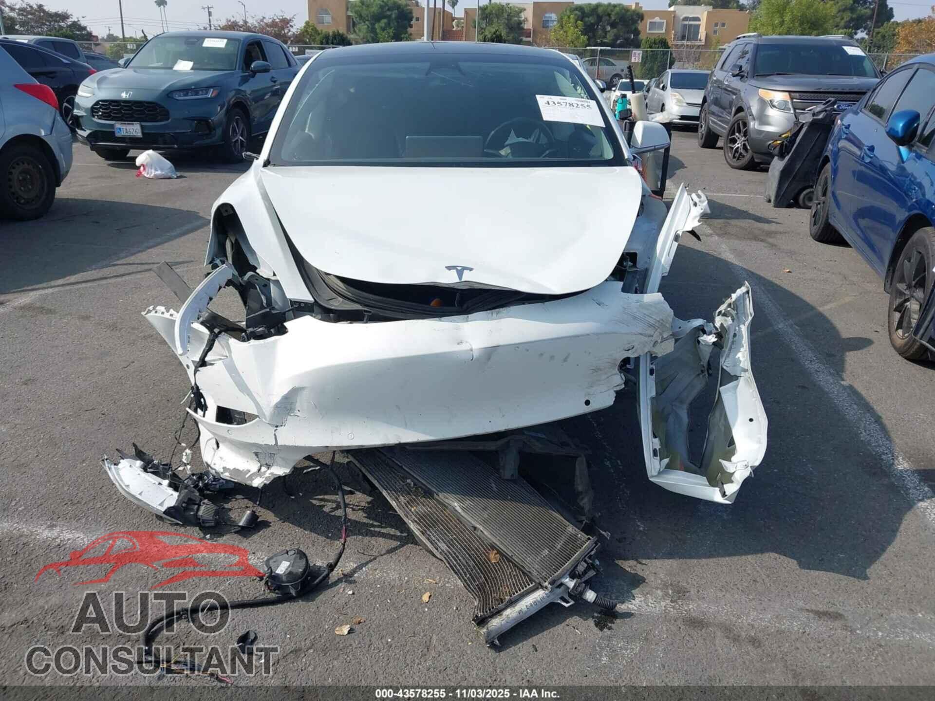 TESLA MODEL 3 2020 - 5YJ3E1EA8LF804543