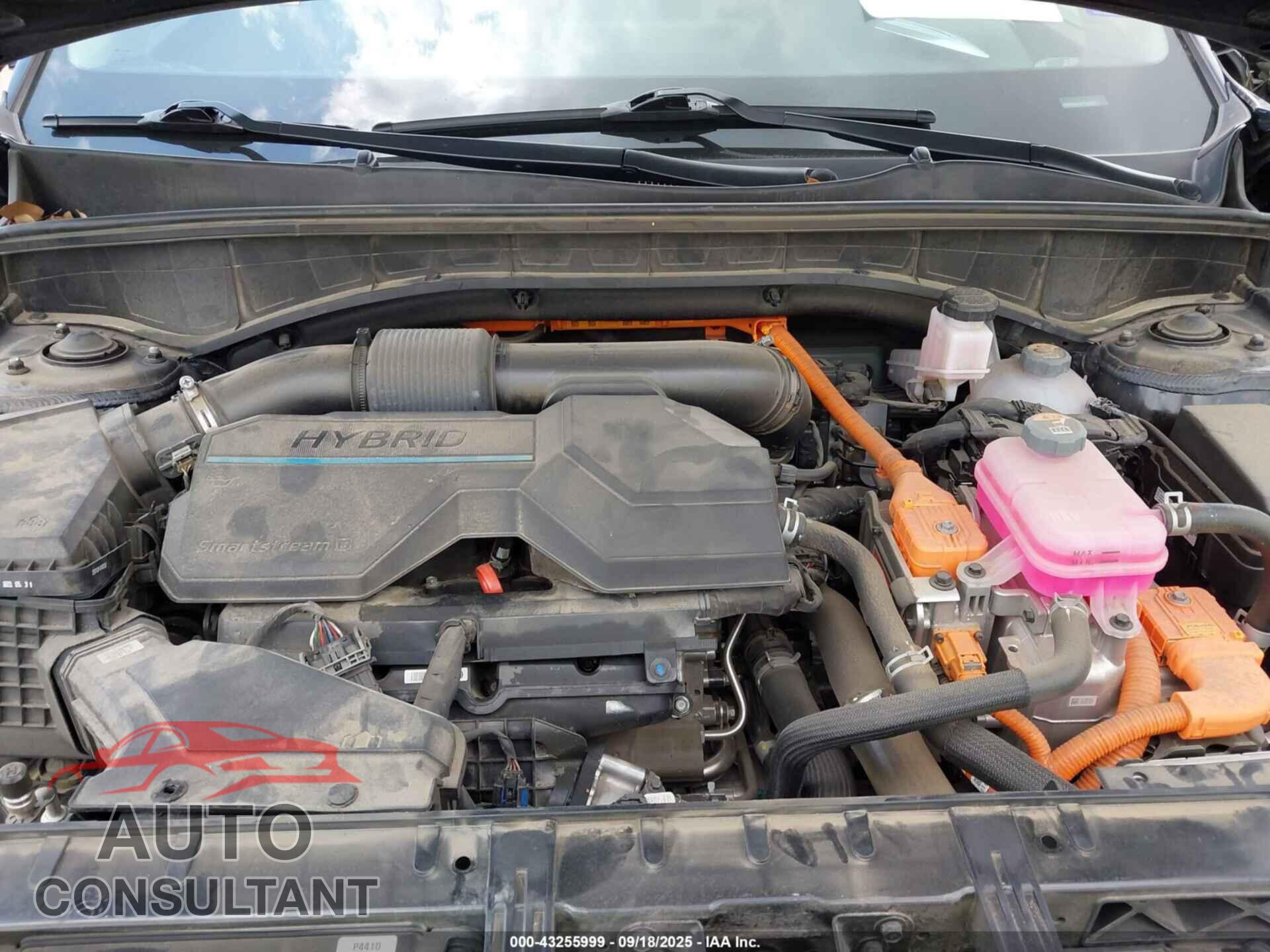 KIA SORENTO HYBRID 2023 - KNDRHDLG4P5211201