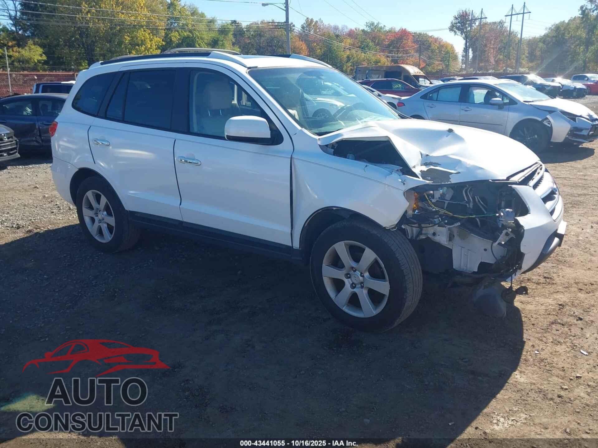 HYUNDAI SANTA FE 2009 - 5NMSH13E69H257496