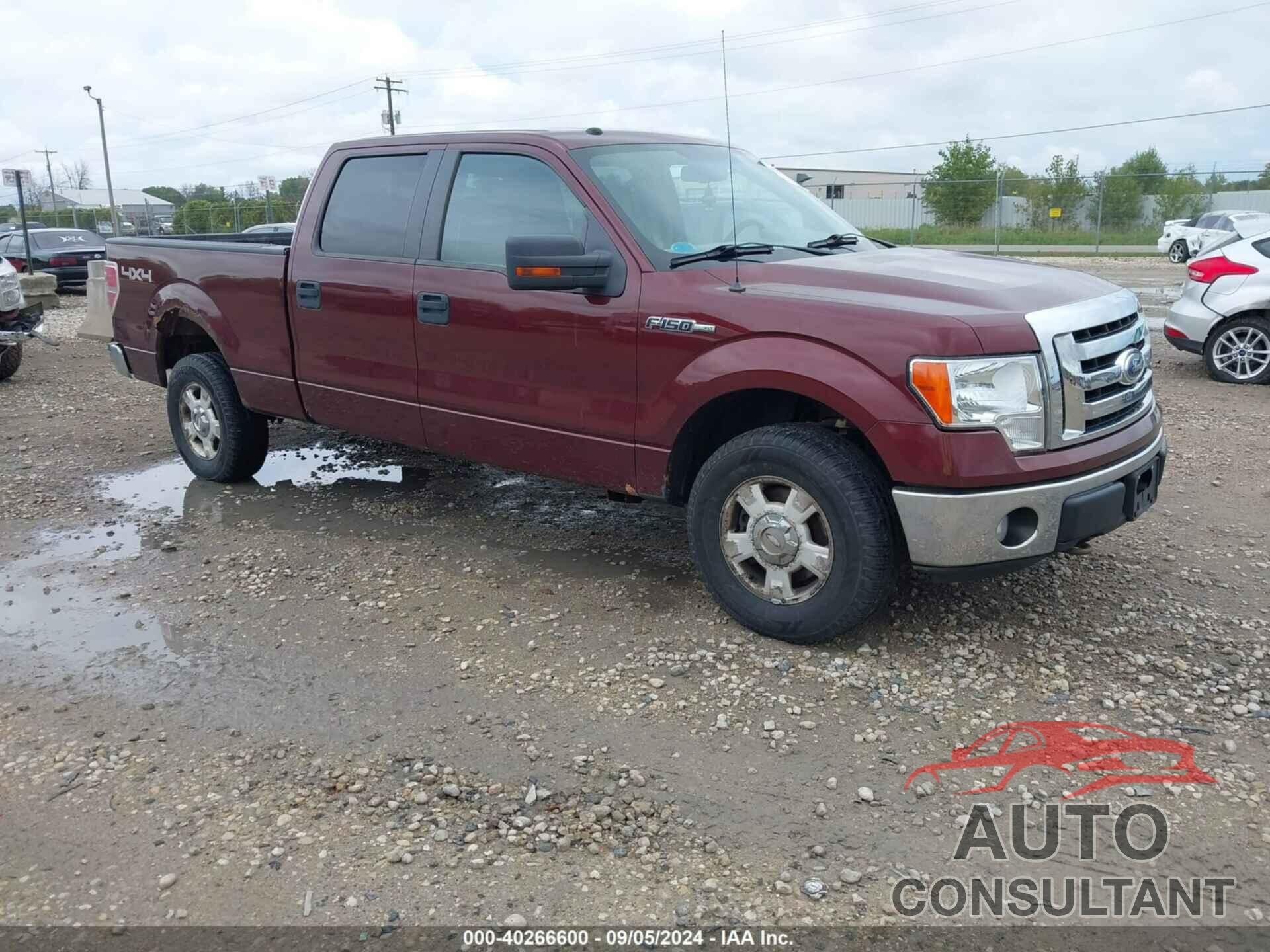 FORD F-150 2010 - 1FTFW1EV9AFA82036