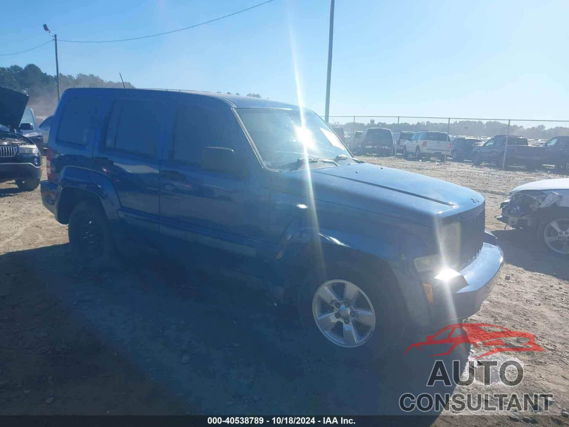 JEEP LIBERTY 2010 - 1J4PP2GK9AW119302