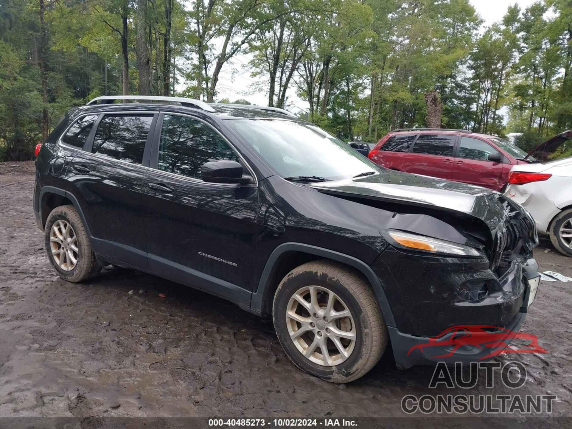 JEEP CHEROKEE 2017 - 1C4PJLCB3HD223339