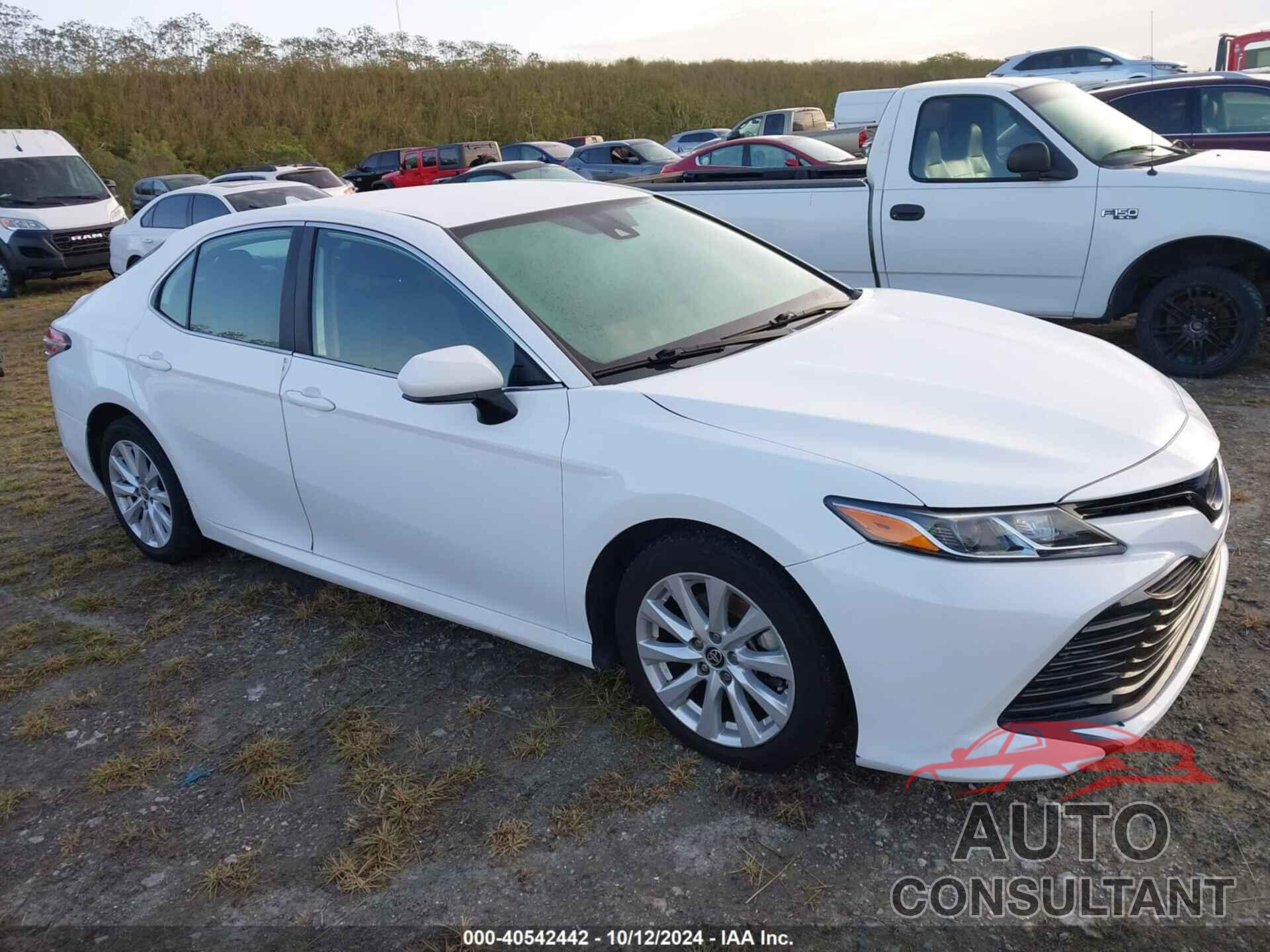 TOYOTA CAMRY 2020 - 4T1C11AK5LU965347