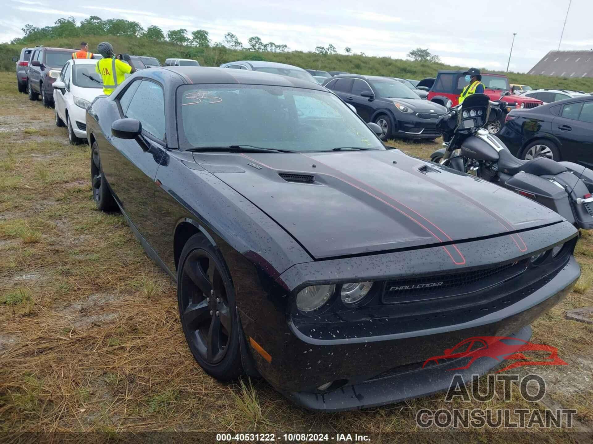 DODGE CHALLENGER 2013 - 2C3CDYBT7DH631051