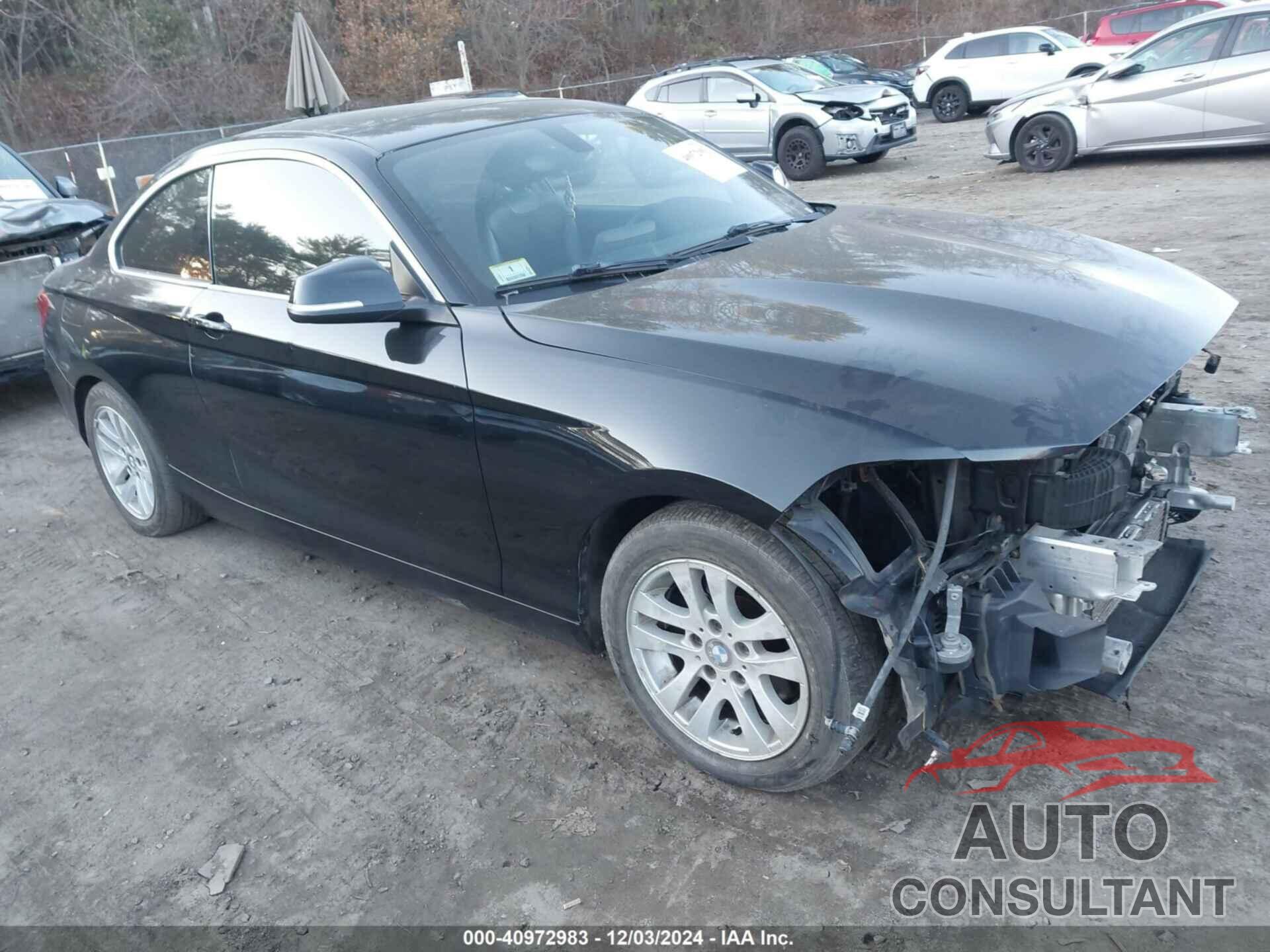 BMW 228I 2015 - WBA1F7C50FVX95501