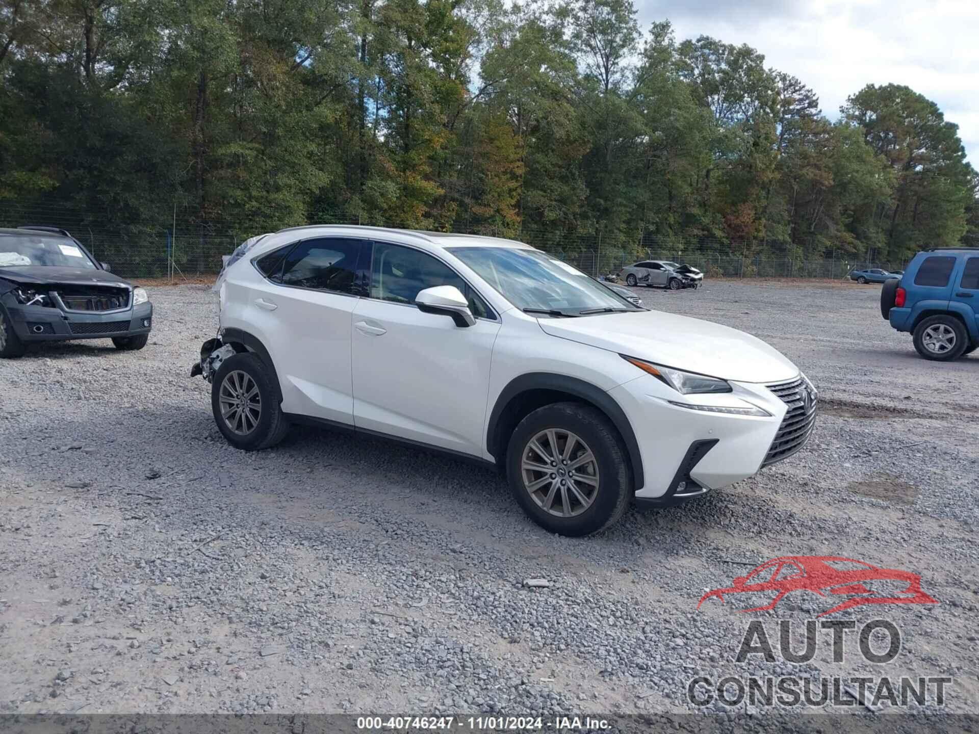 LEXUS NX 300 2020 - JTJDARBZ9L2160110