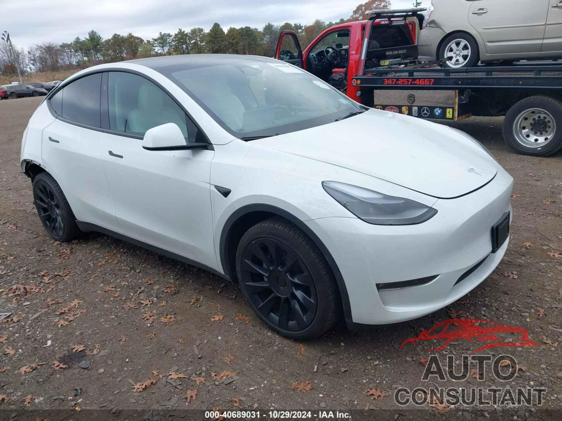 TESLA MODEL Y 2024 - 7SAYGDEE8RF036837