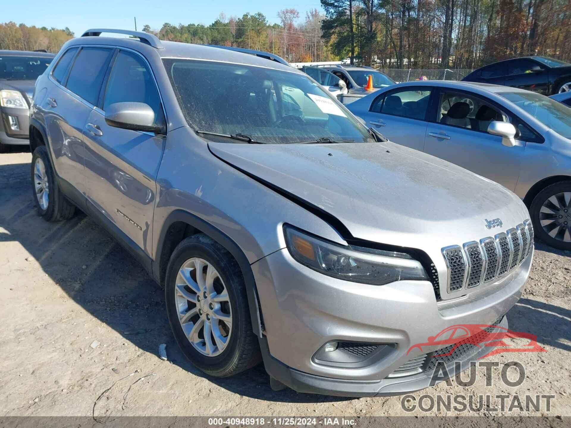 JEEP CHEROKEE 2019 - 1C4PJLCB9KD365900