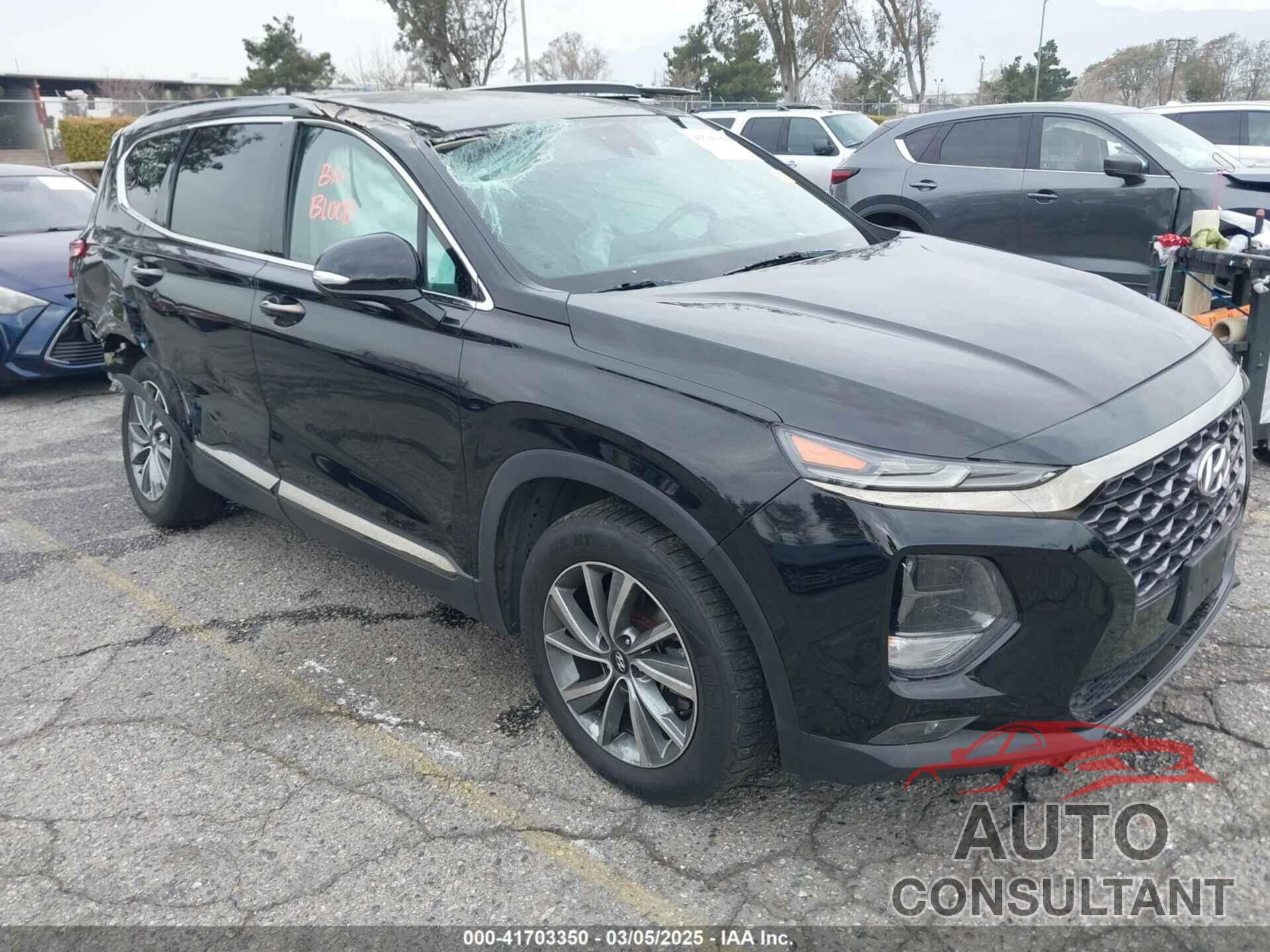 HYUNDAI SANTA FE 2019 - 5NMS53AD9KH048127