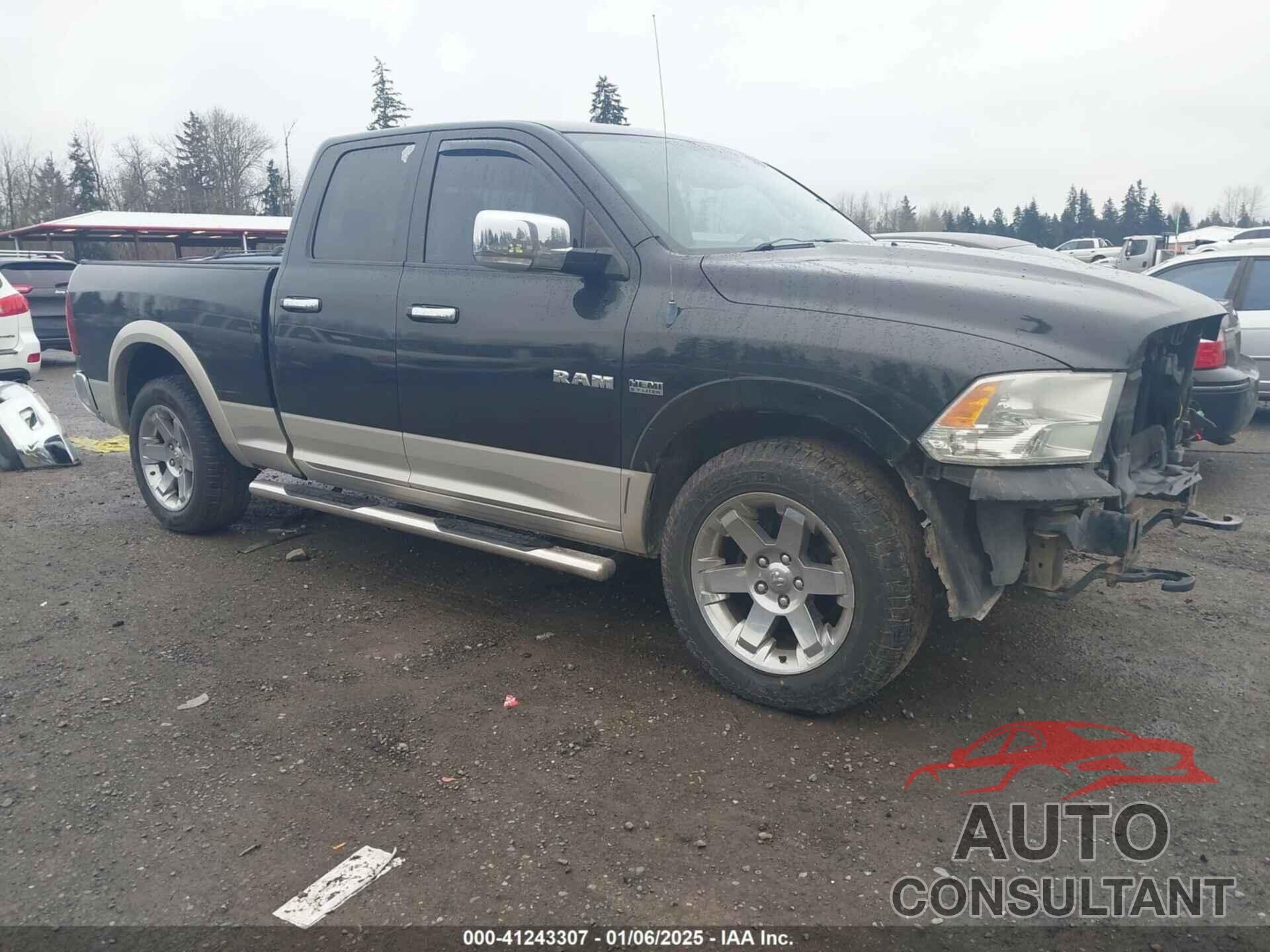 DODGE RAM 1500 2010 - 1D7RV1GT0AS122691