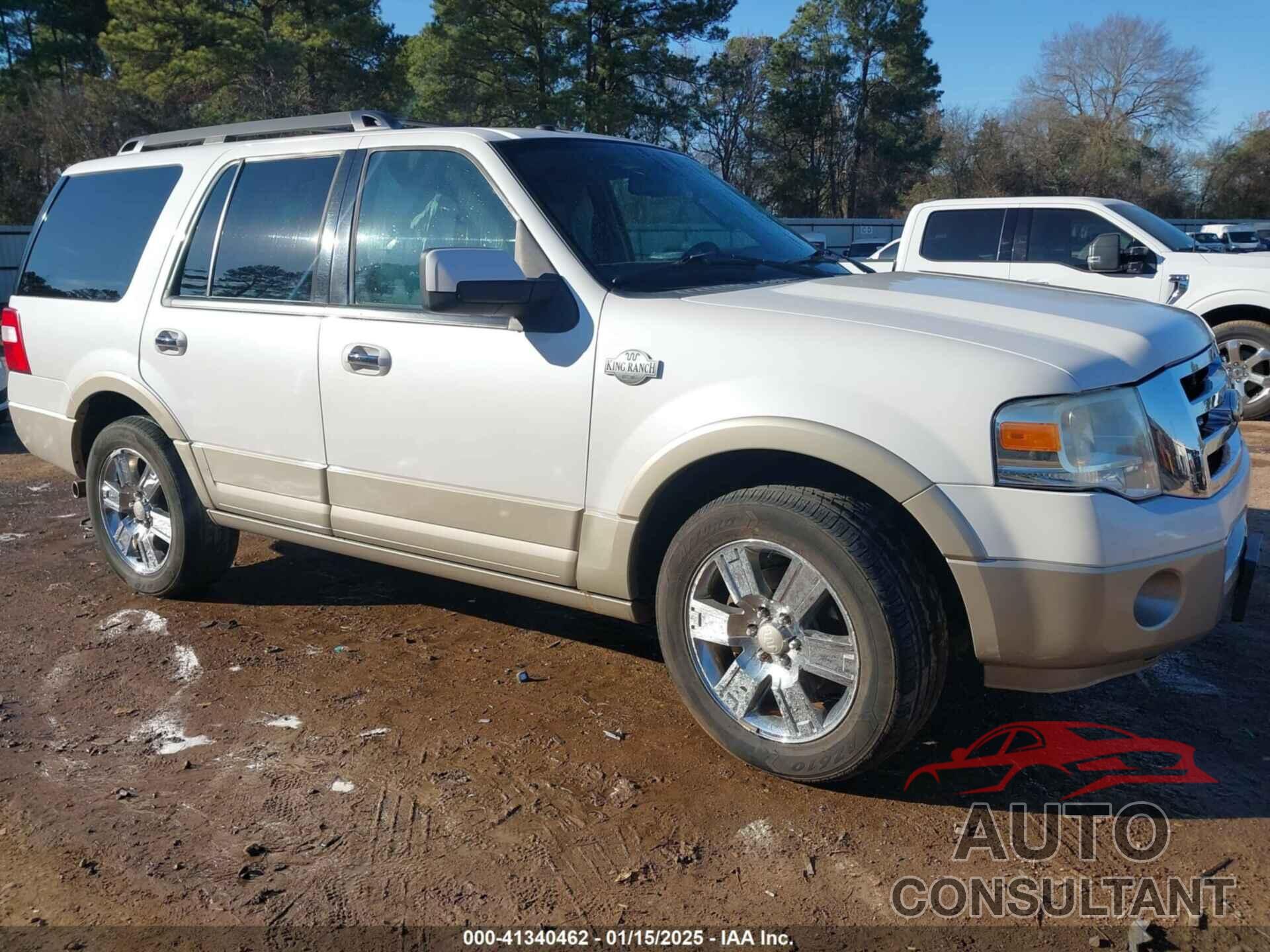 FORD EXPEDITION 2010 - 1FMJU1H5XAEB21312