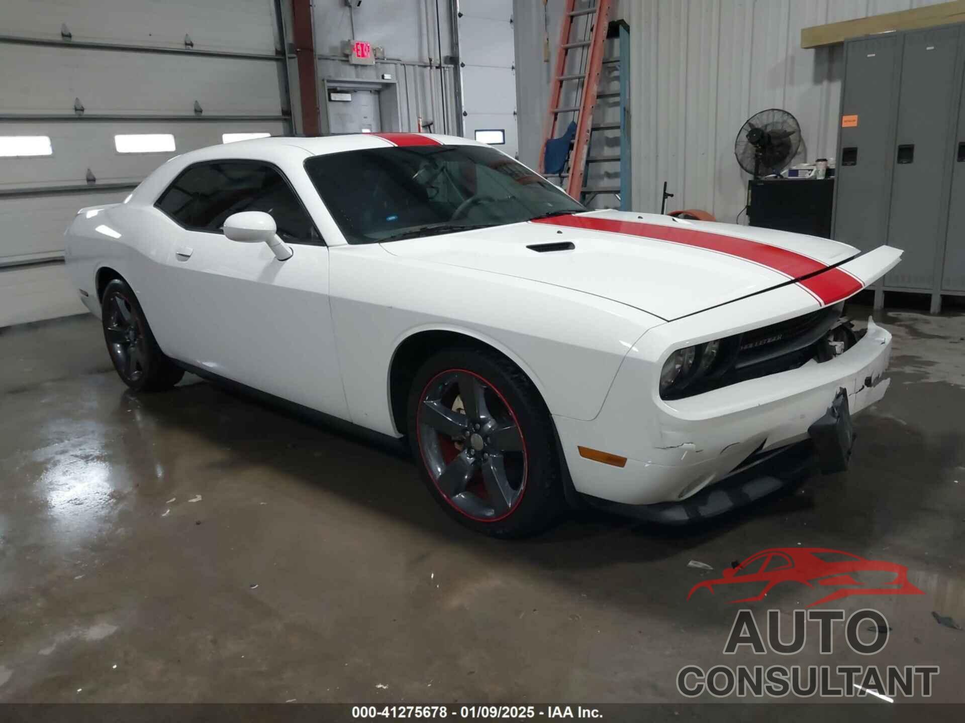 DODGE CHALLENGER 2013 - 2C3CDYAG8DH554016