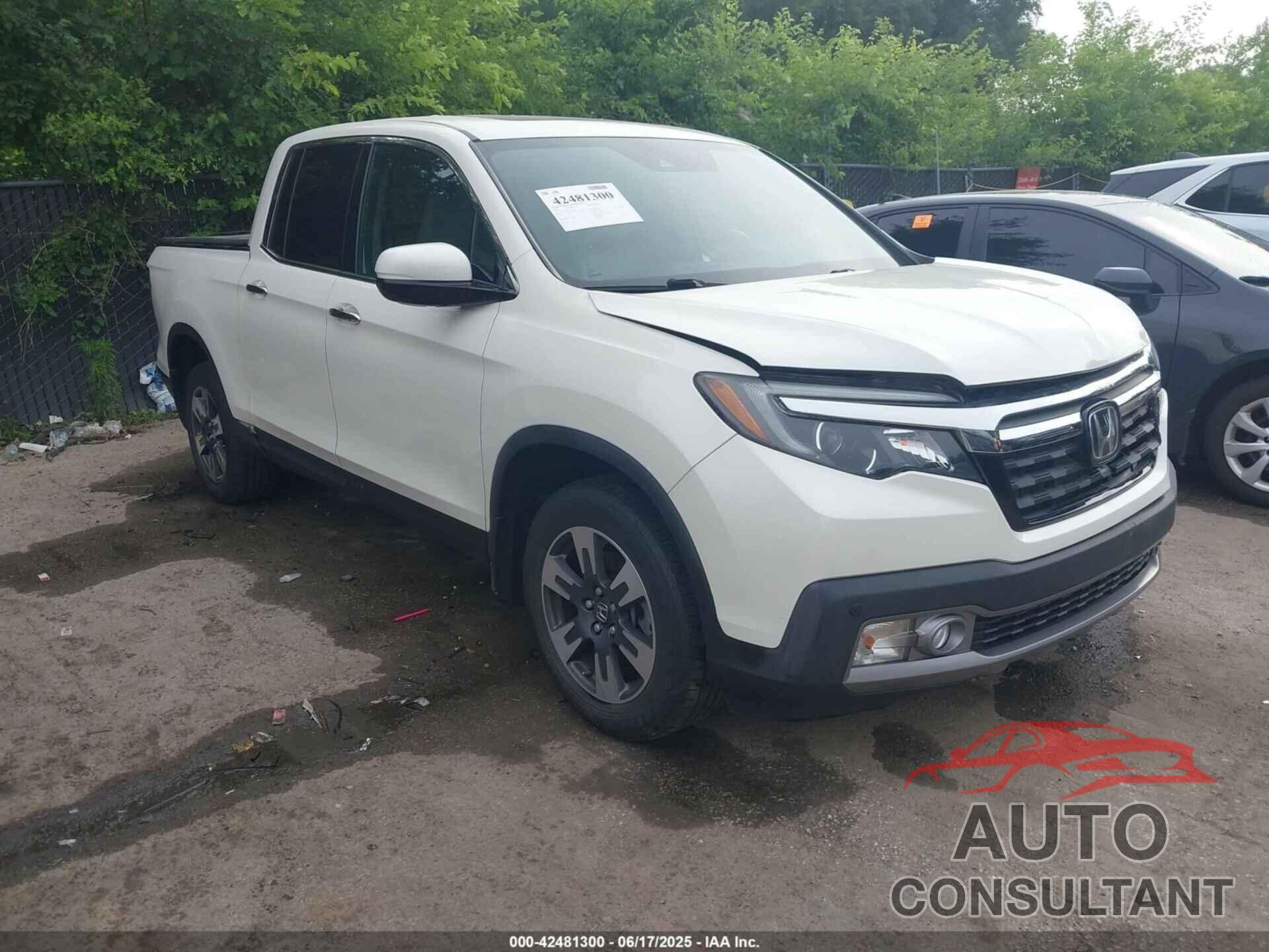 HONDA RIDGELINE 2019 - 5FPYK3F75KB013373